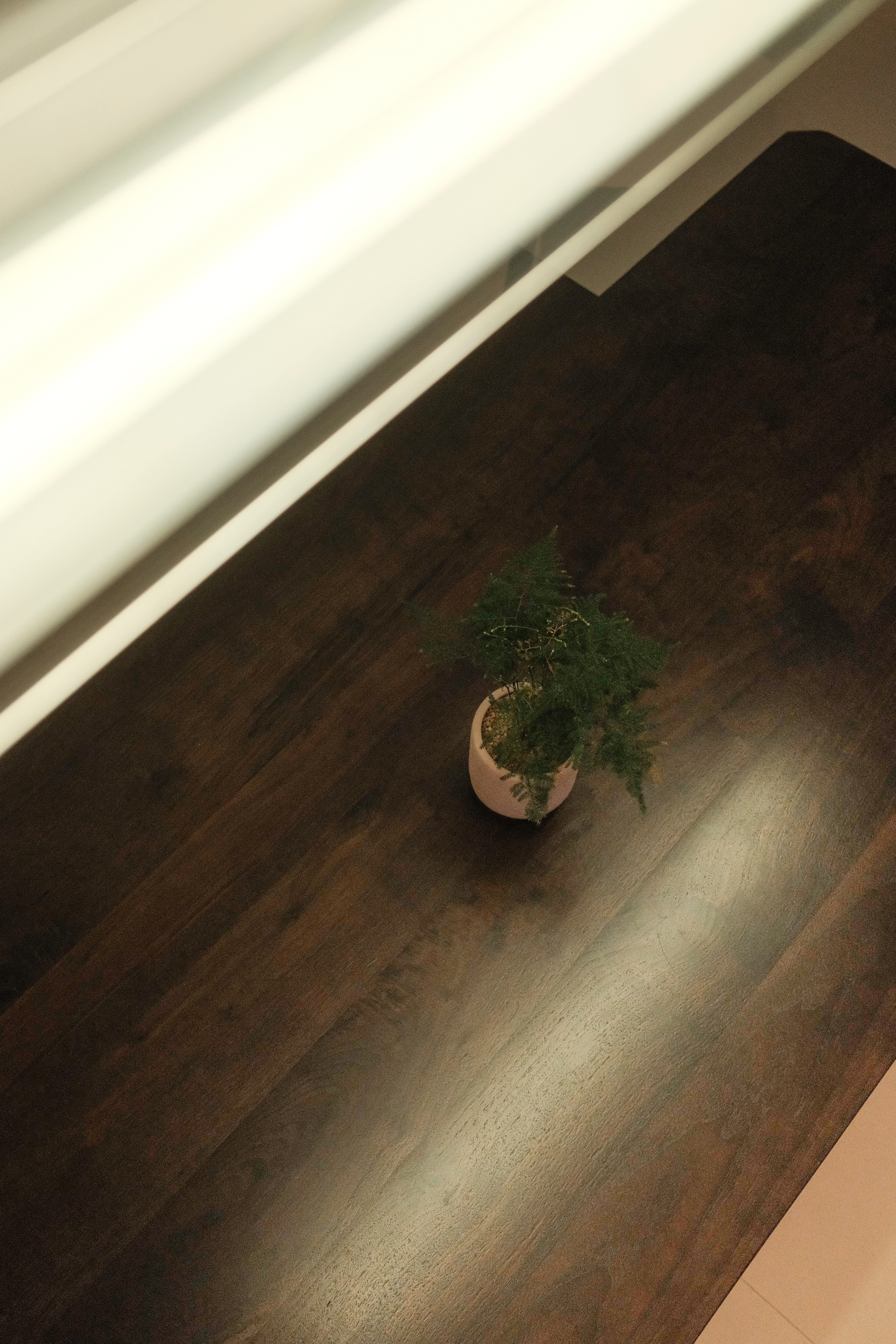 Where Meals Meet Memories: Our Mid-Century Dining Space