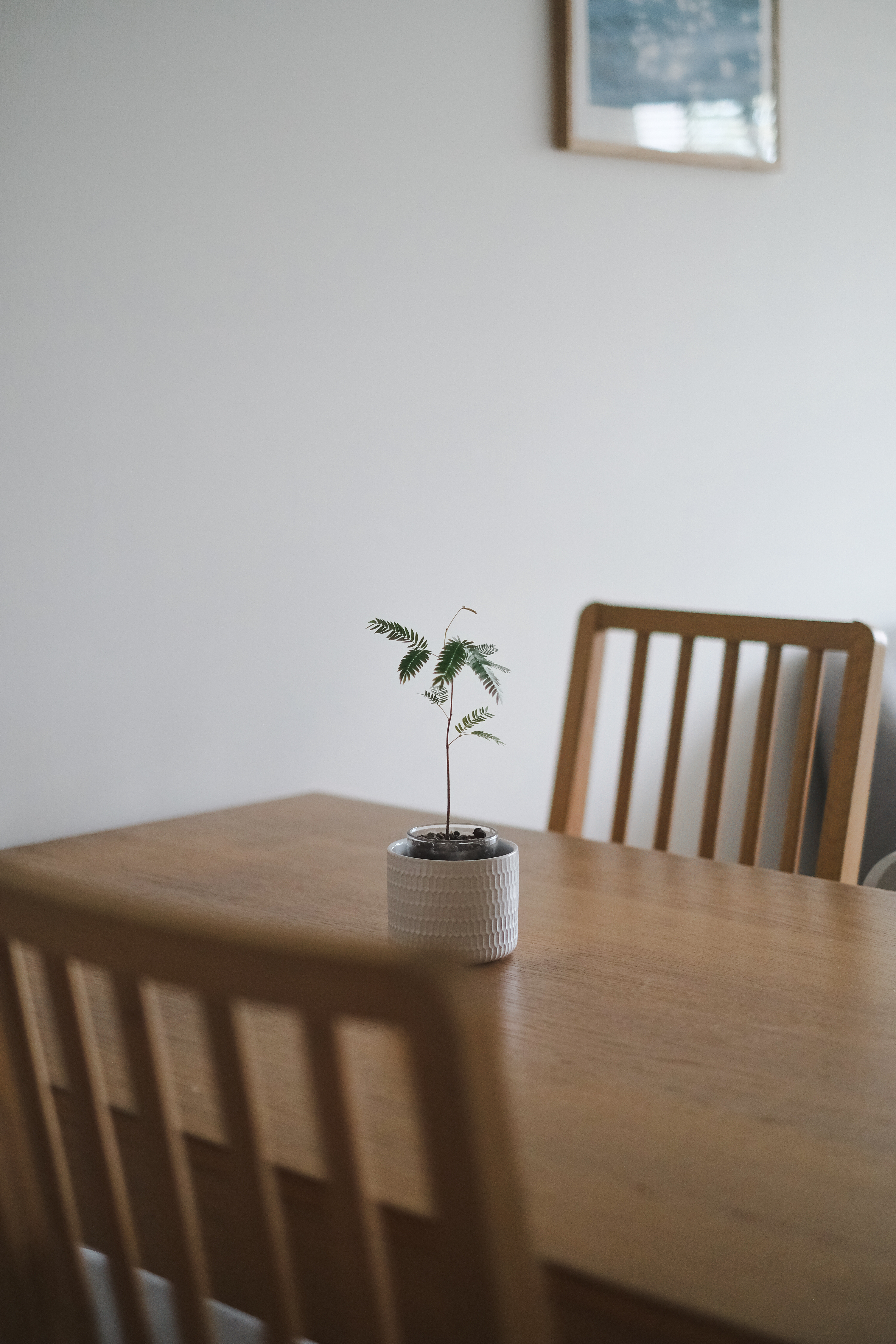 A-Place-Where-Food-Brings-People-Together