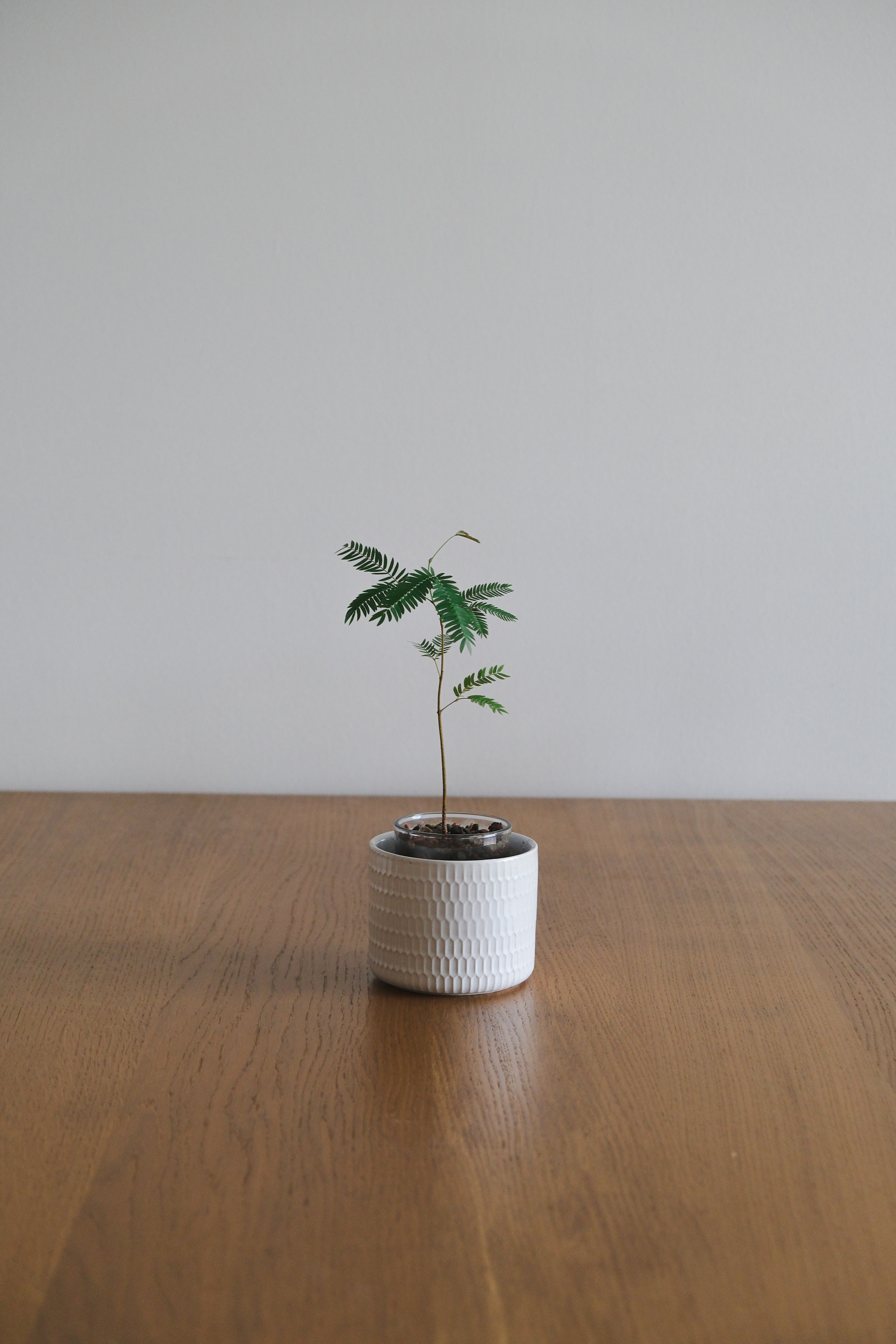 A Place Where Food Brings People Together