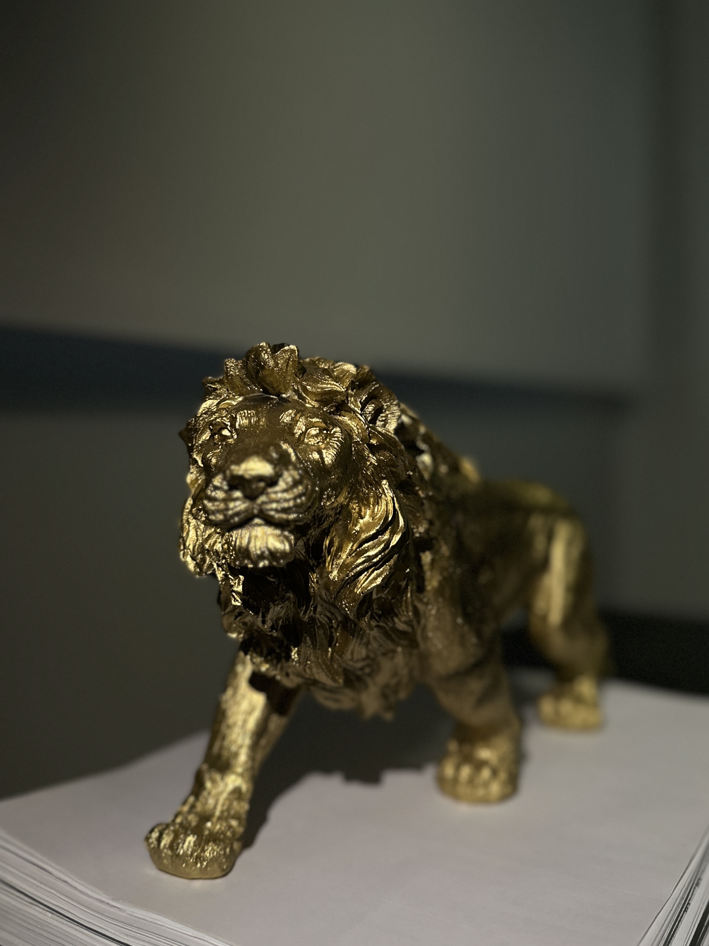 Our “Zero Dollar” Study Room 😎