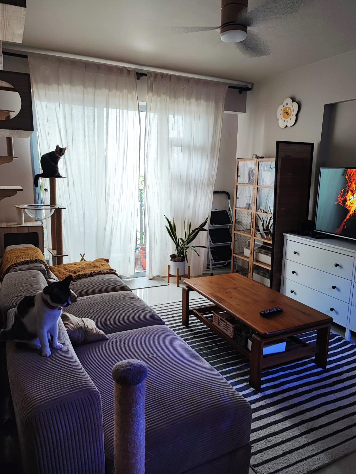 How I Self-Designed My Home With A Free 3D App!