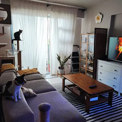 Customer home photo 7: How I Self-Designed My Home With A Free 3D App!