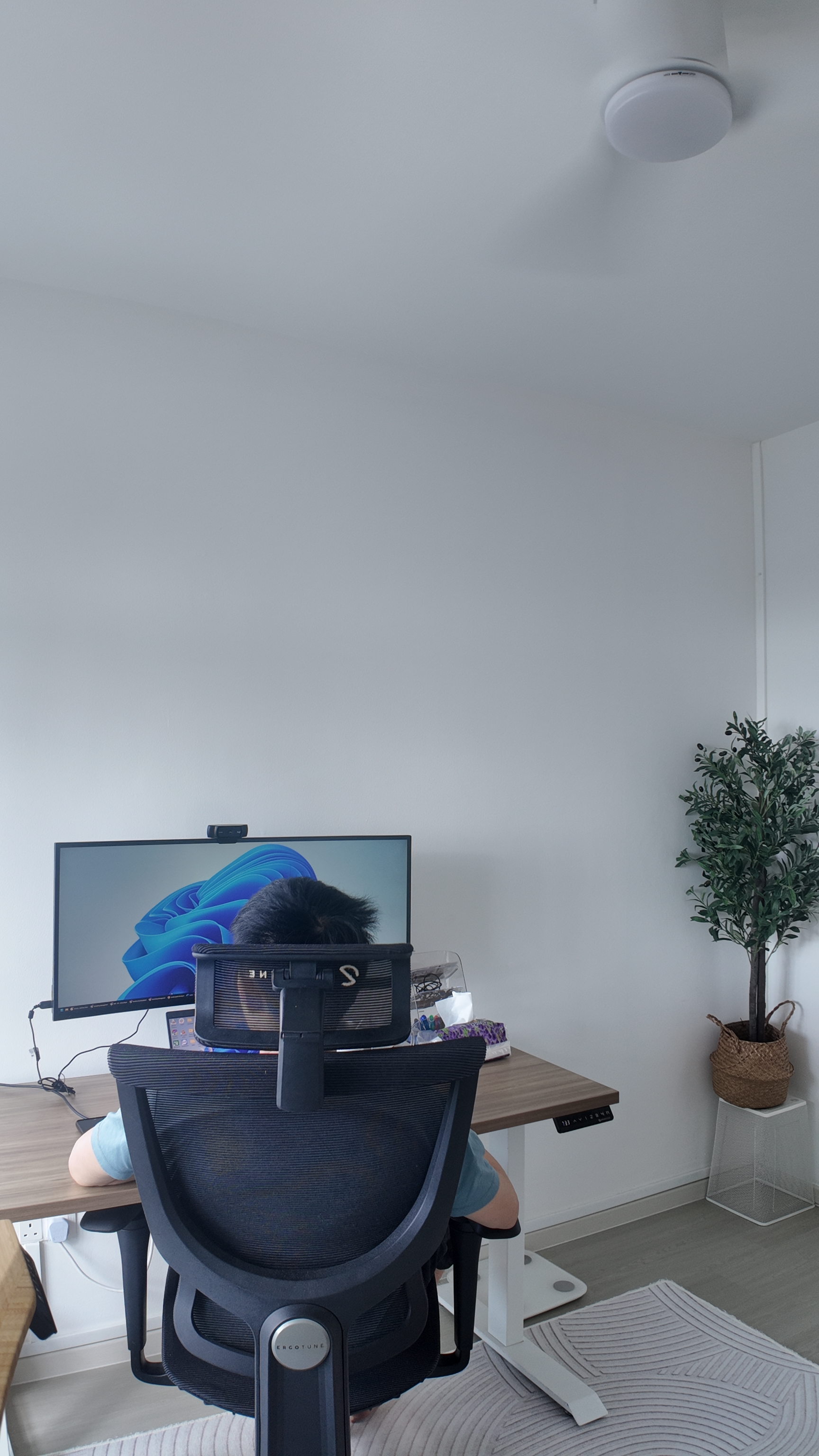 Creating a Flexible Workspace at Home: Zero Built-ins 🌿💻