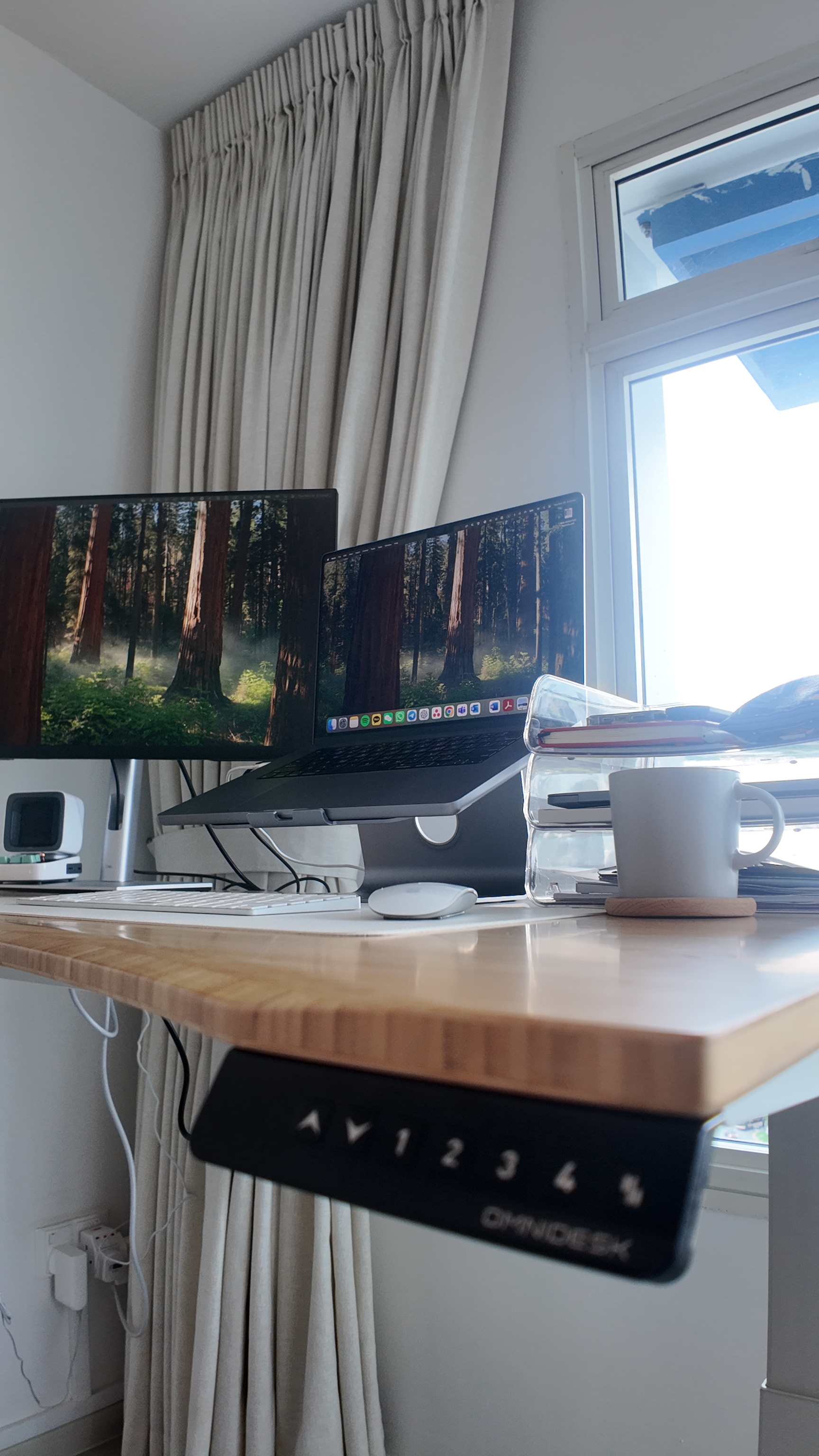 Creating a Flexible Workspace at Home: Zero Built-ins 🌿💻