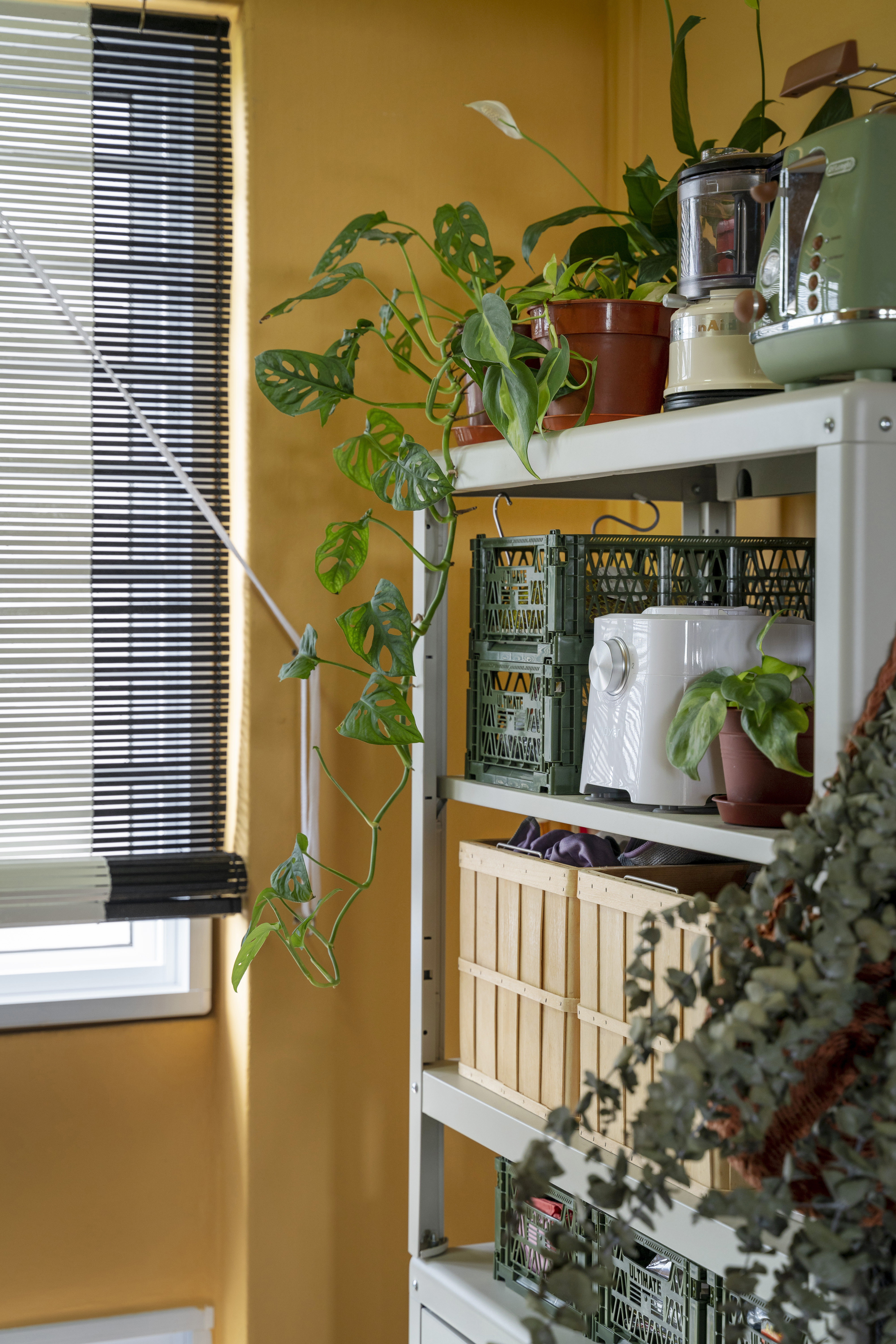 House Tour: Boho Chic and Colour Blocking for a Family of Six