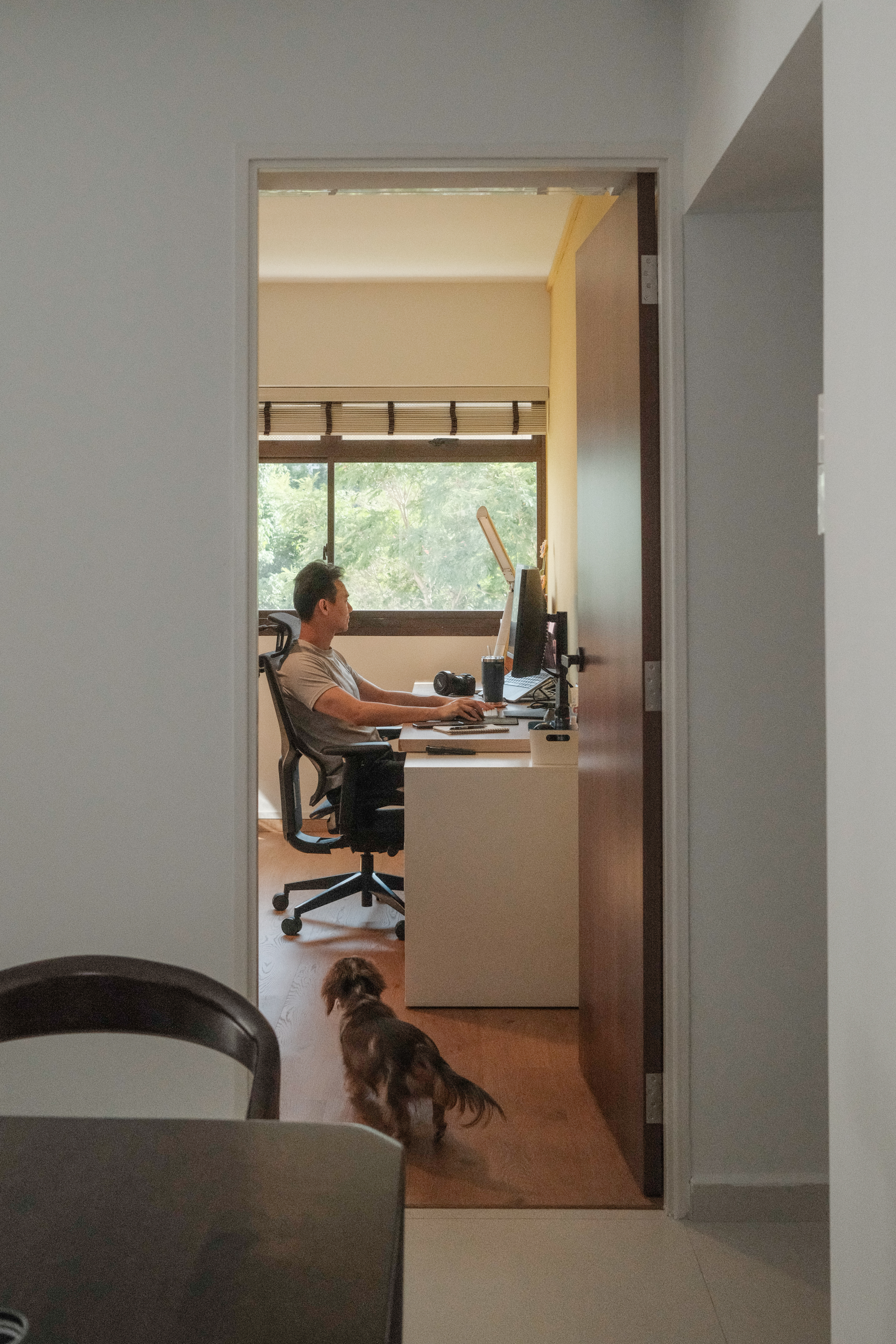 A Bright Workspace: Our Spacious Study with a Yellow Glow