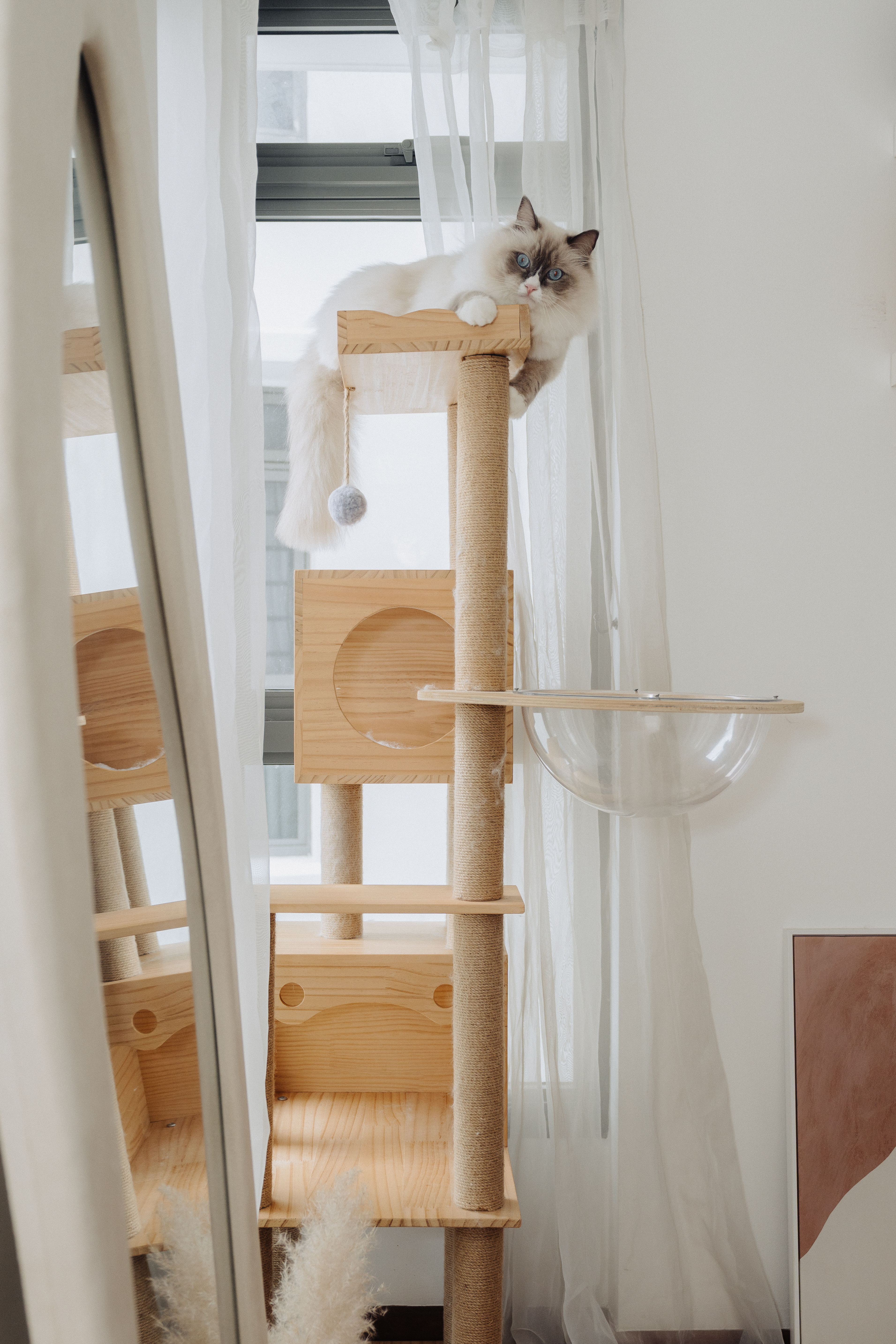 Must Have Items For Cat Owners: According To Our Cats 🌚🌝