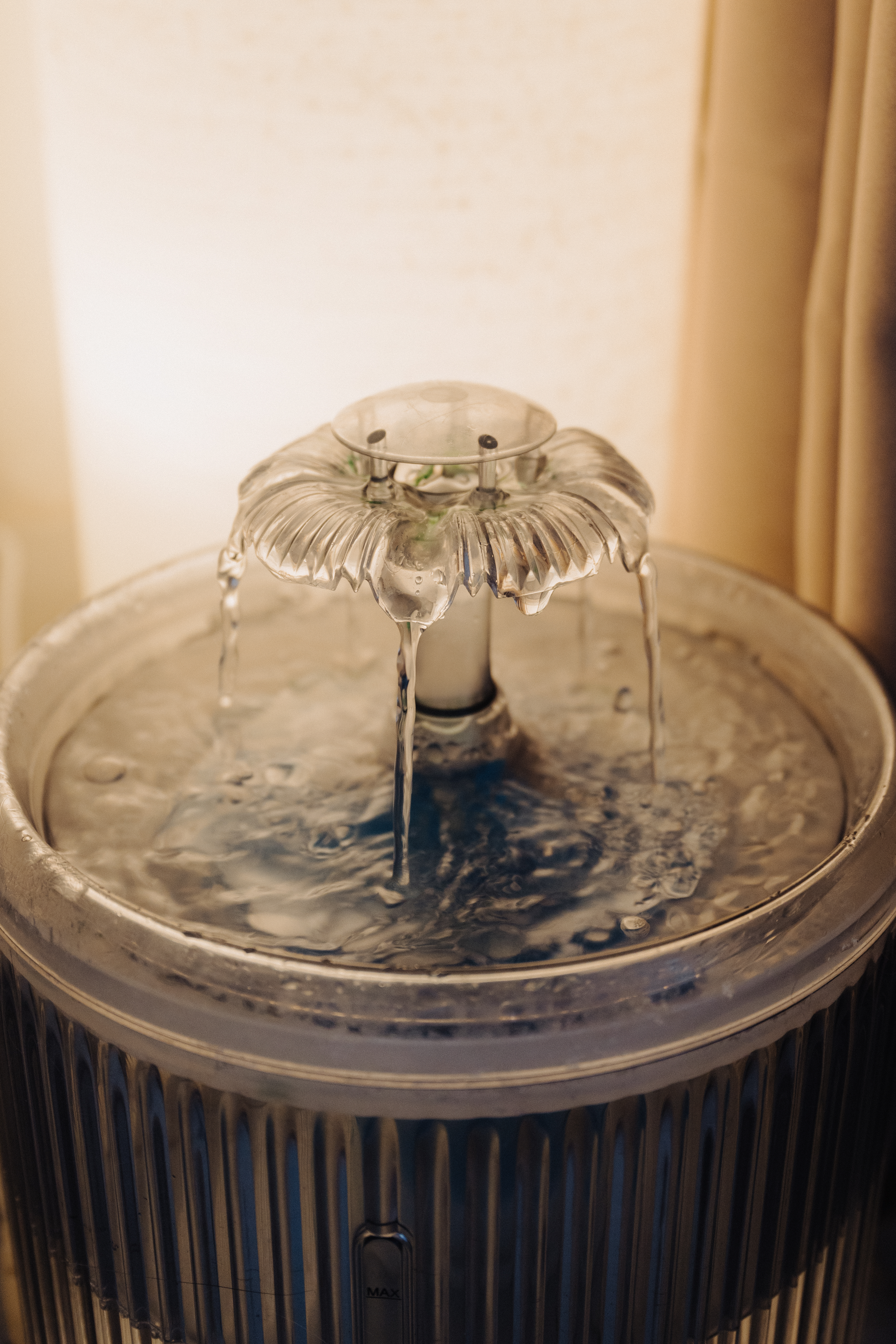 Must Have Items For Cat Owners: According To Our Cats 🌚🌝