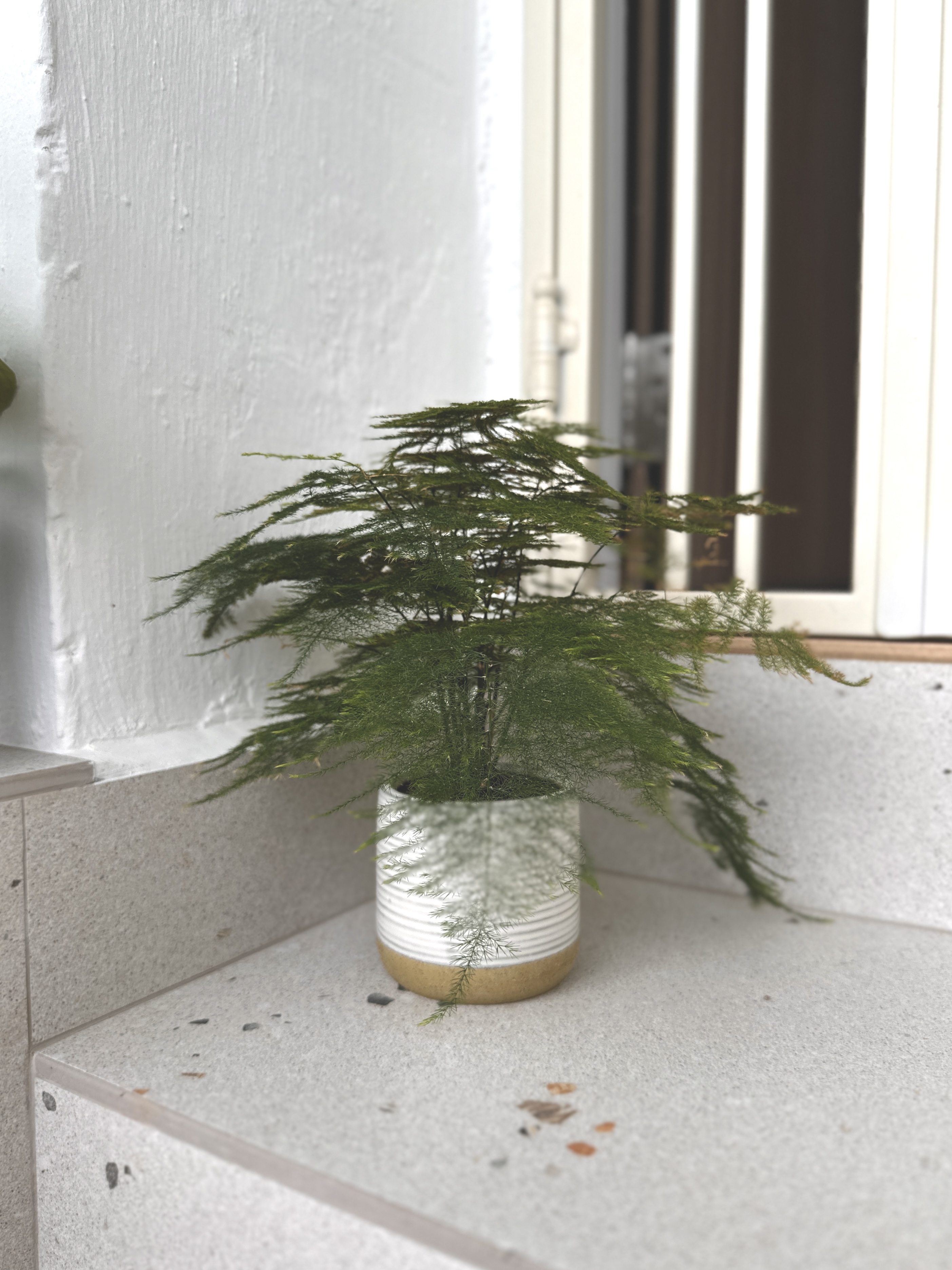 Real & Faux Plants Making a Japandi-Inspired Home Green & Warm!