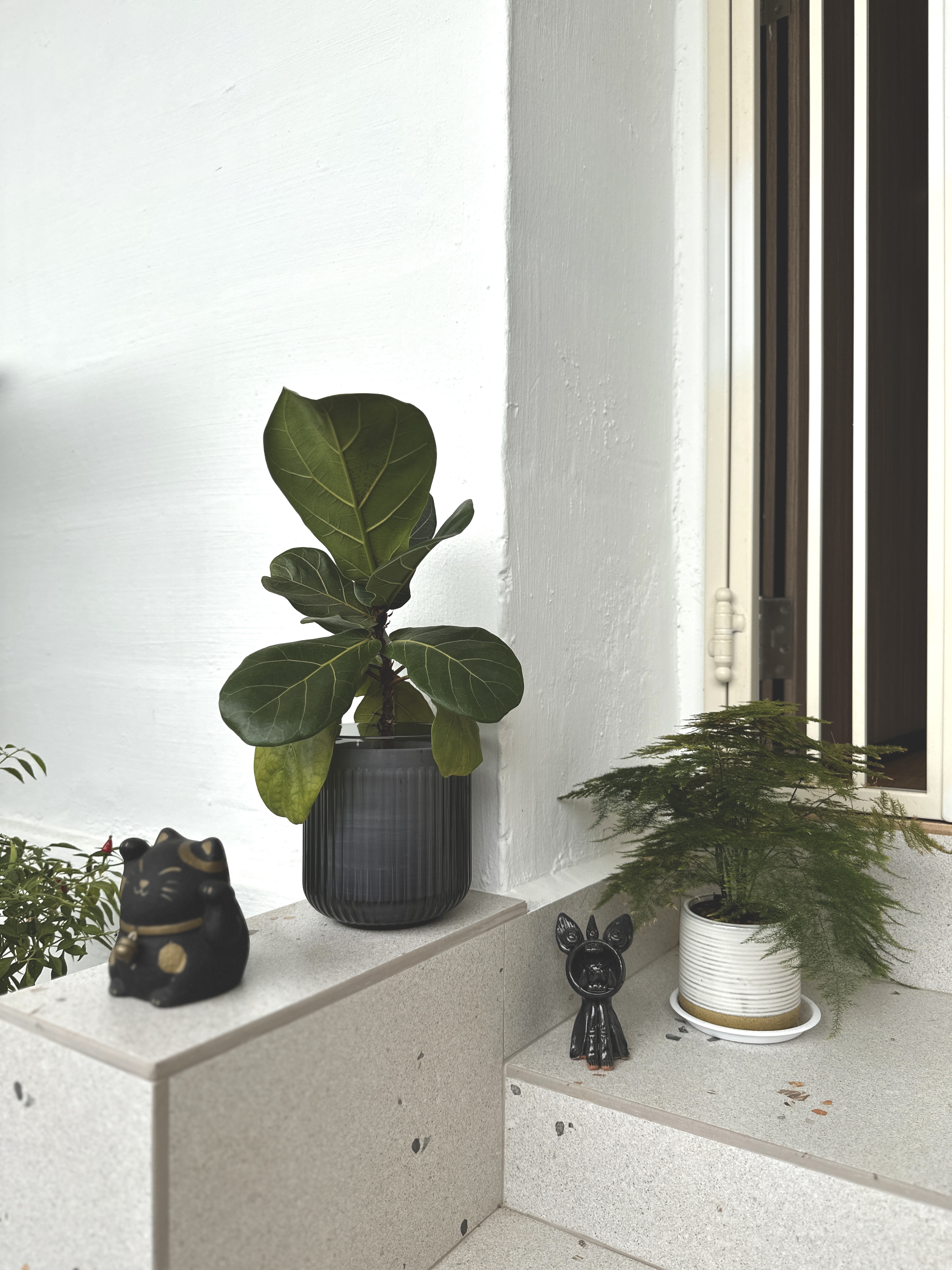 Real & Faux Plants Making a Japandi-Inspired Home Green & Warm!
