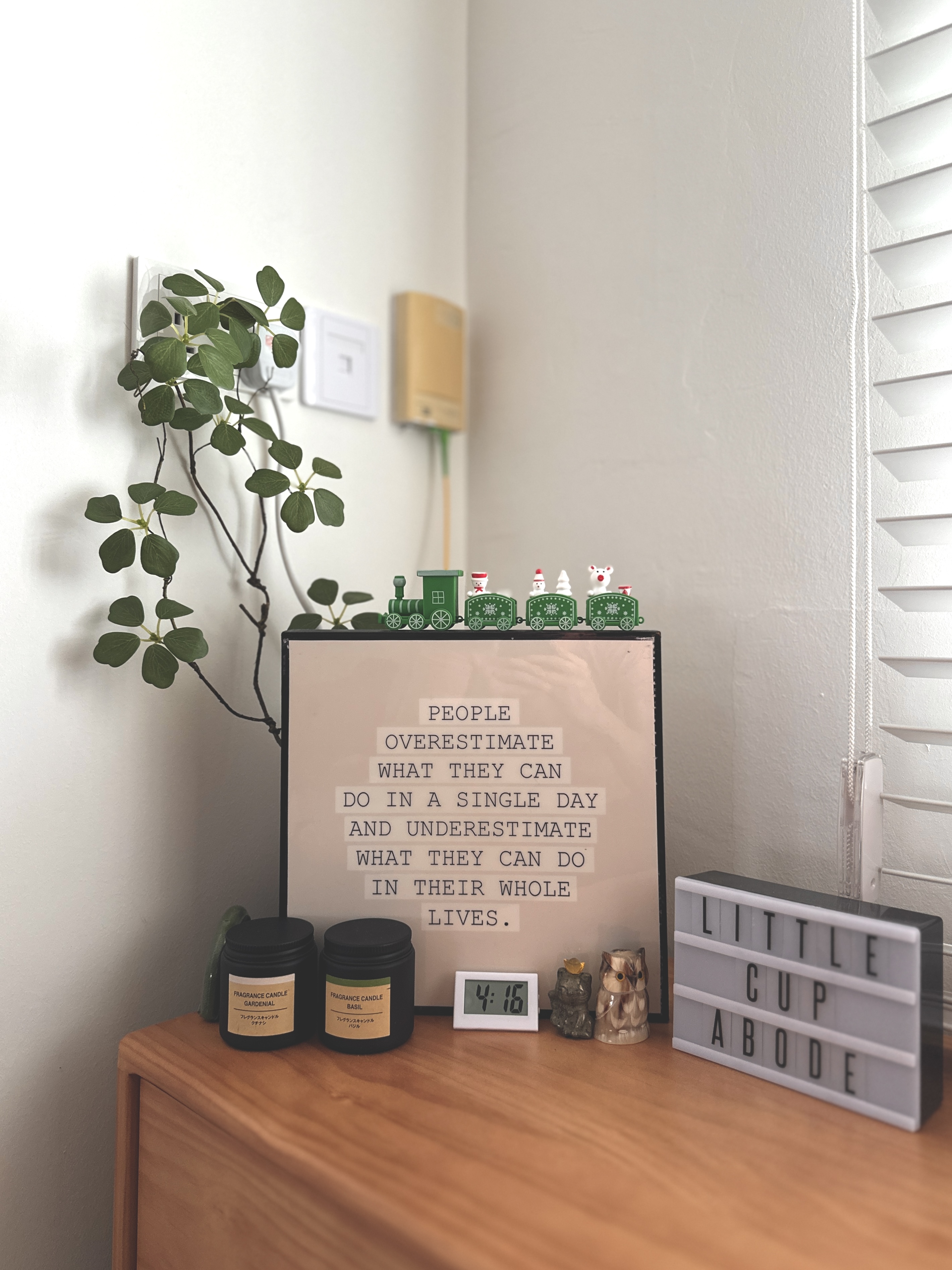 Real & Faux Plants Making a Japandi-Inspired Home Green & Warm!