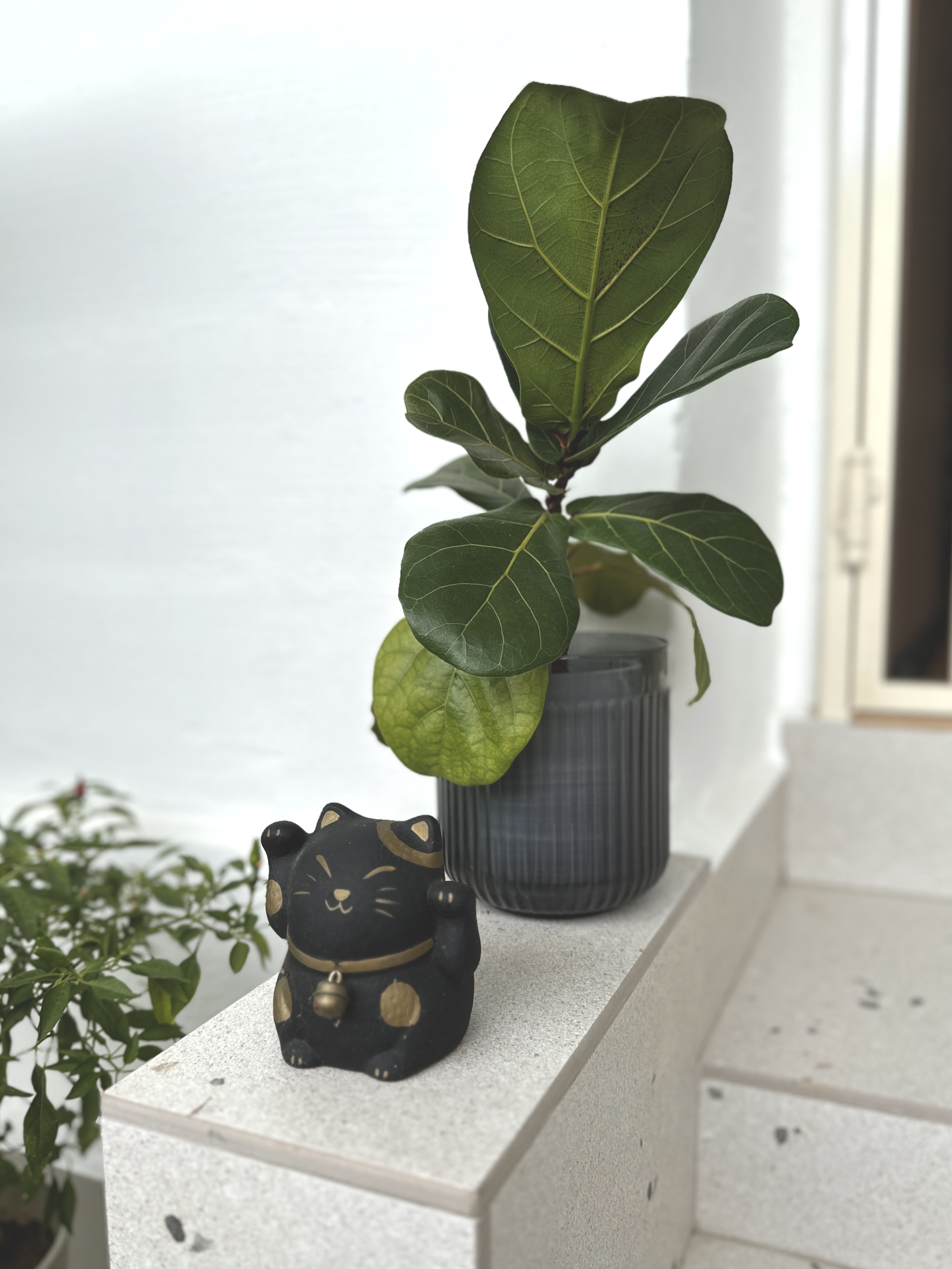 Real & Faux Plants Making a Japandi-Inspired Home Green & Warm!