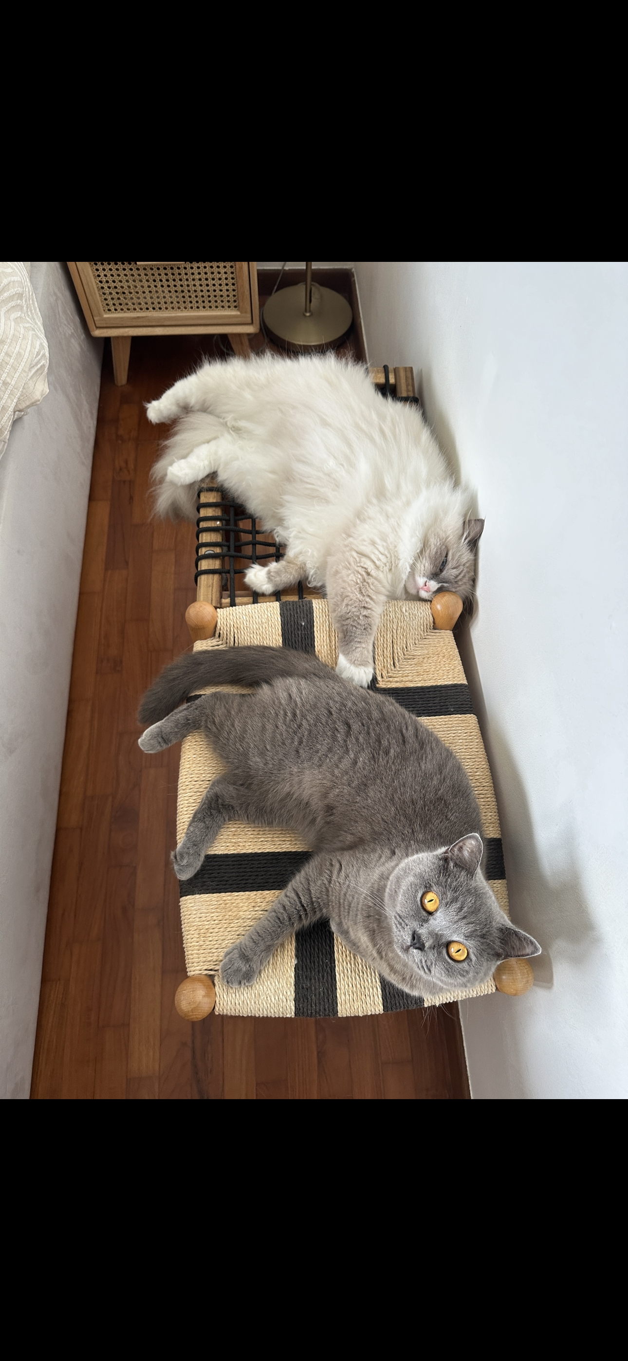 Our Home “Reno”: Cost Breakdown Of Less Than $15k Reno