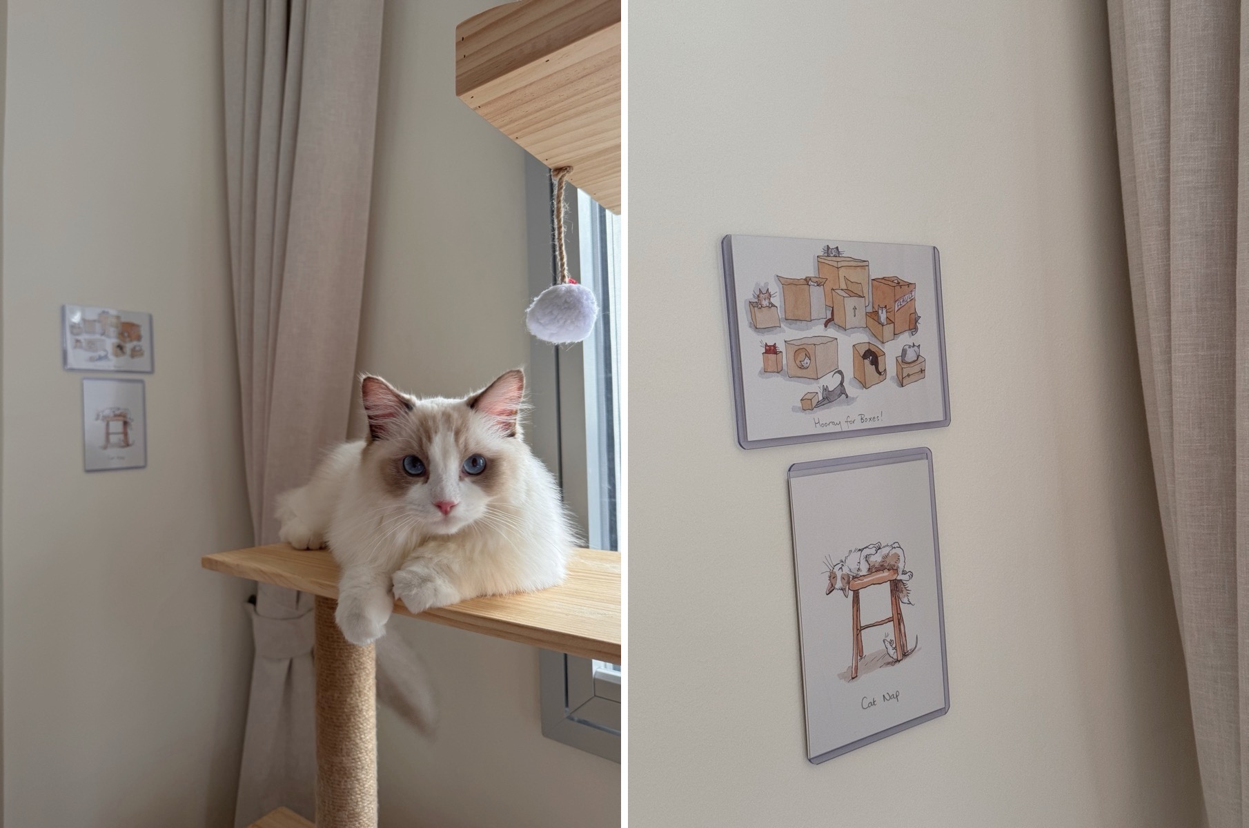 A Couple's Work From Home Setup With No Built-Ins