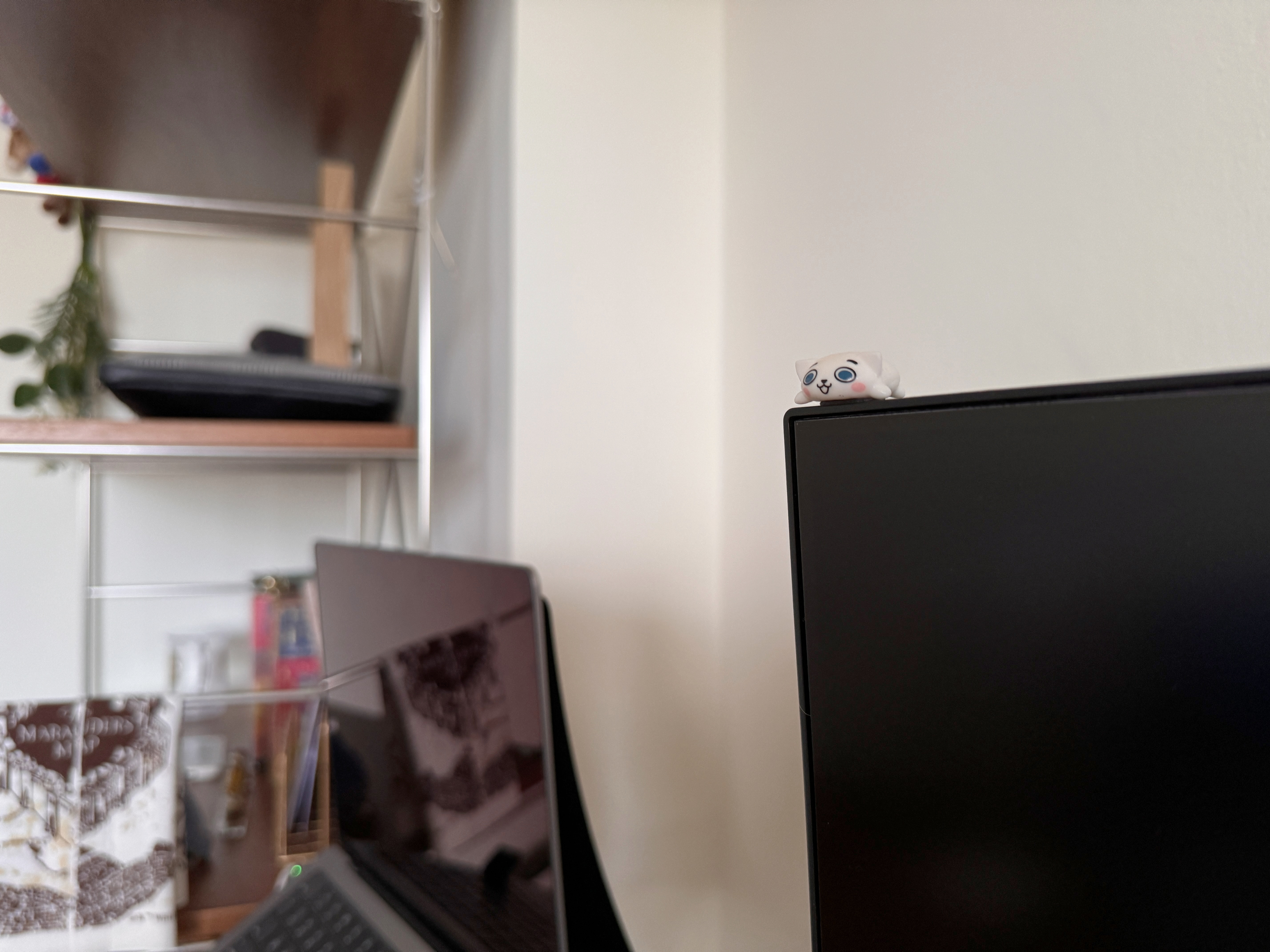 A Couple's Work From Home Setup With No Built-Ins