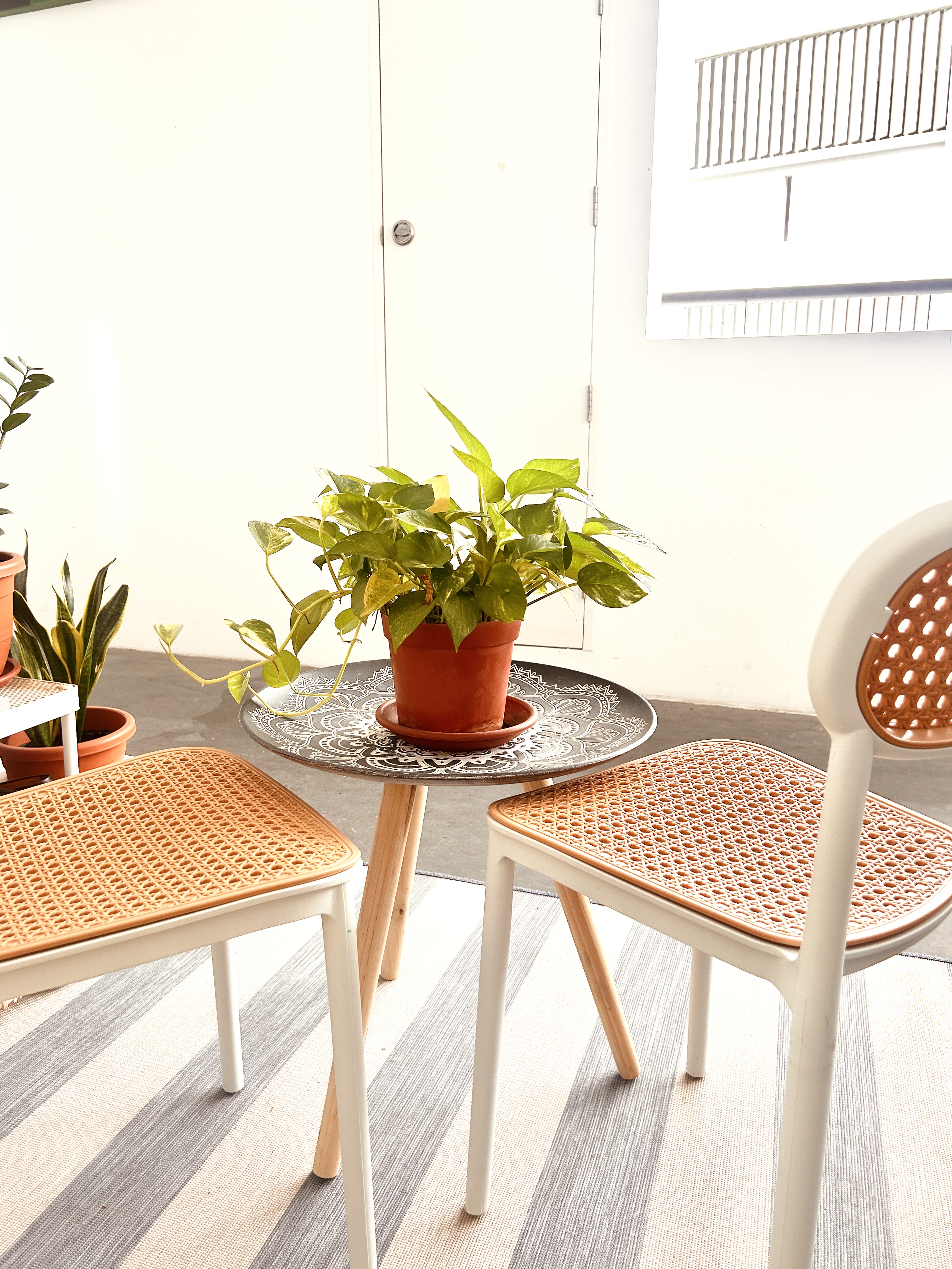 Tips-on-creating-Boho-Vibes-for-plant-dummies(-like-me)-