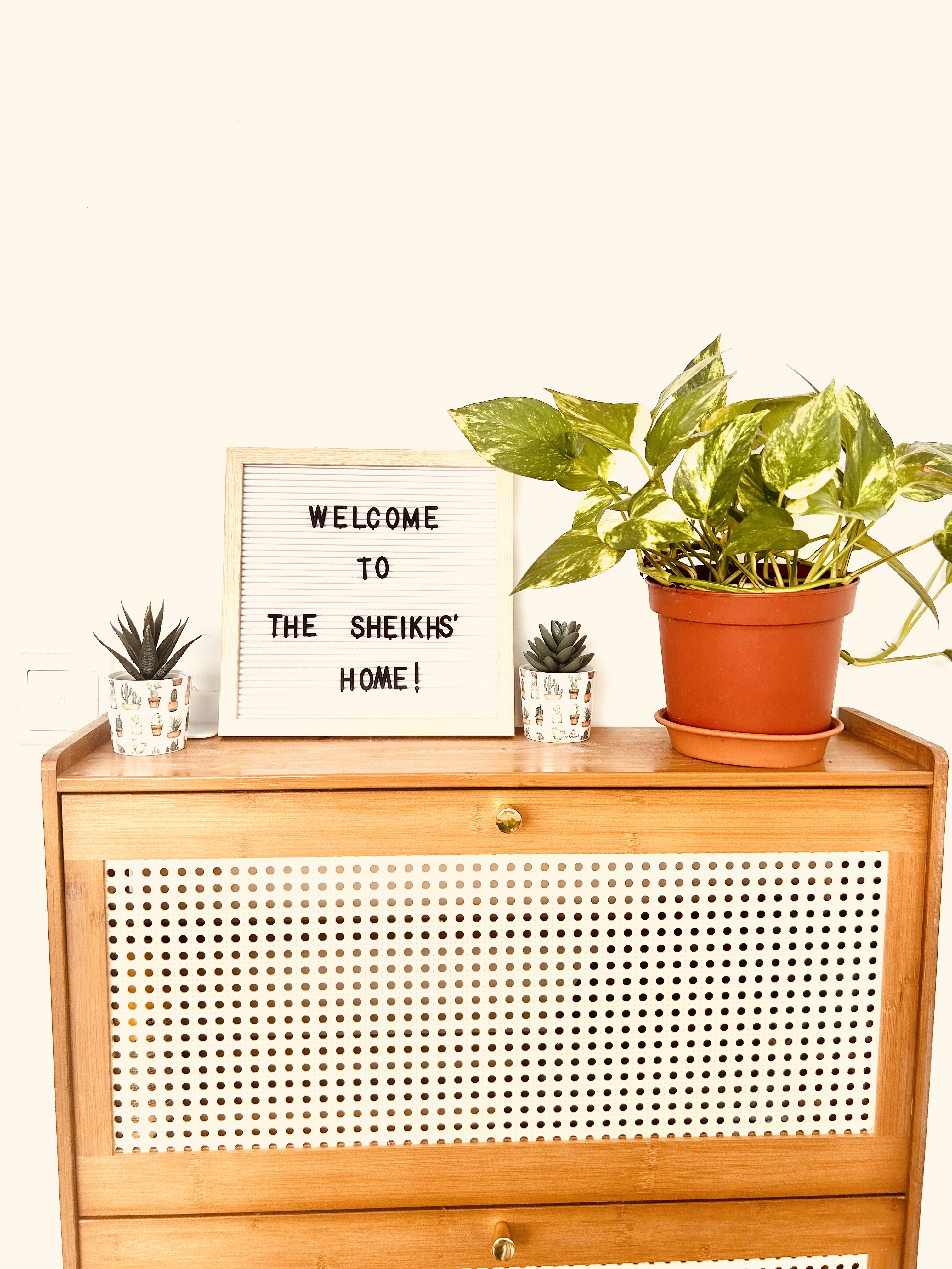 Tips on creating Boho Vibes for plant-dummies( like me)