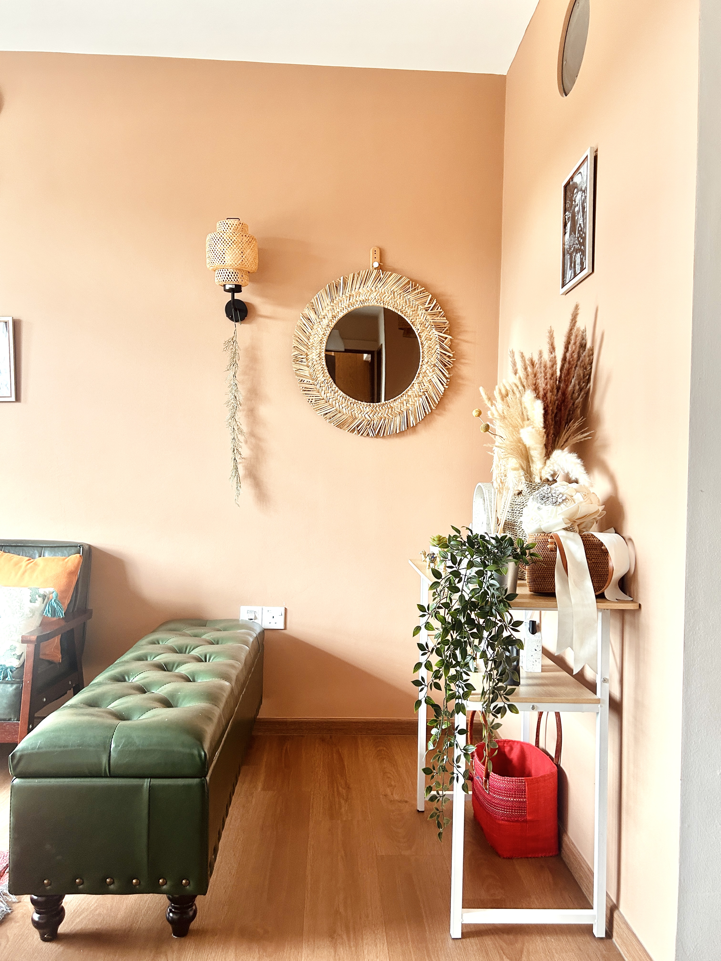 Tips-on-creating-Boho-Vibes-for-plant-dummies(-like-me)-