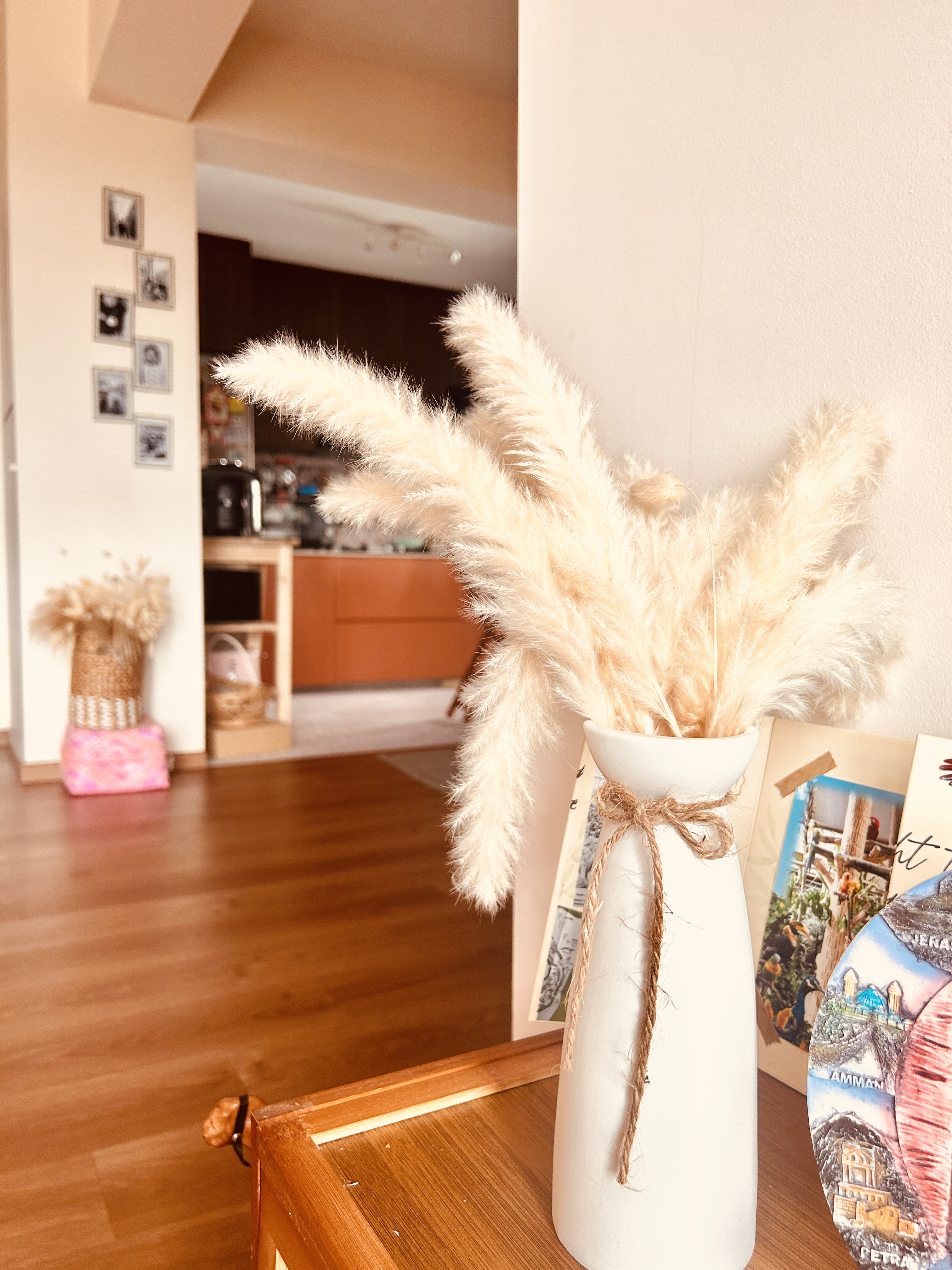 Tips-on-creating-Boho-Vibes-for-plant-dummies(-like-me)-