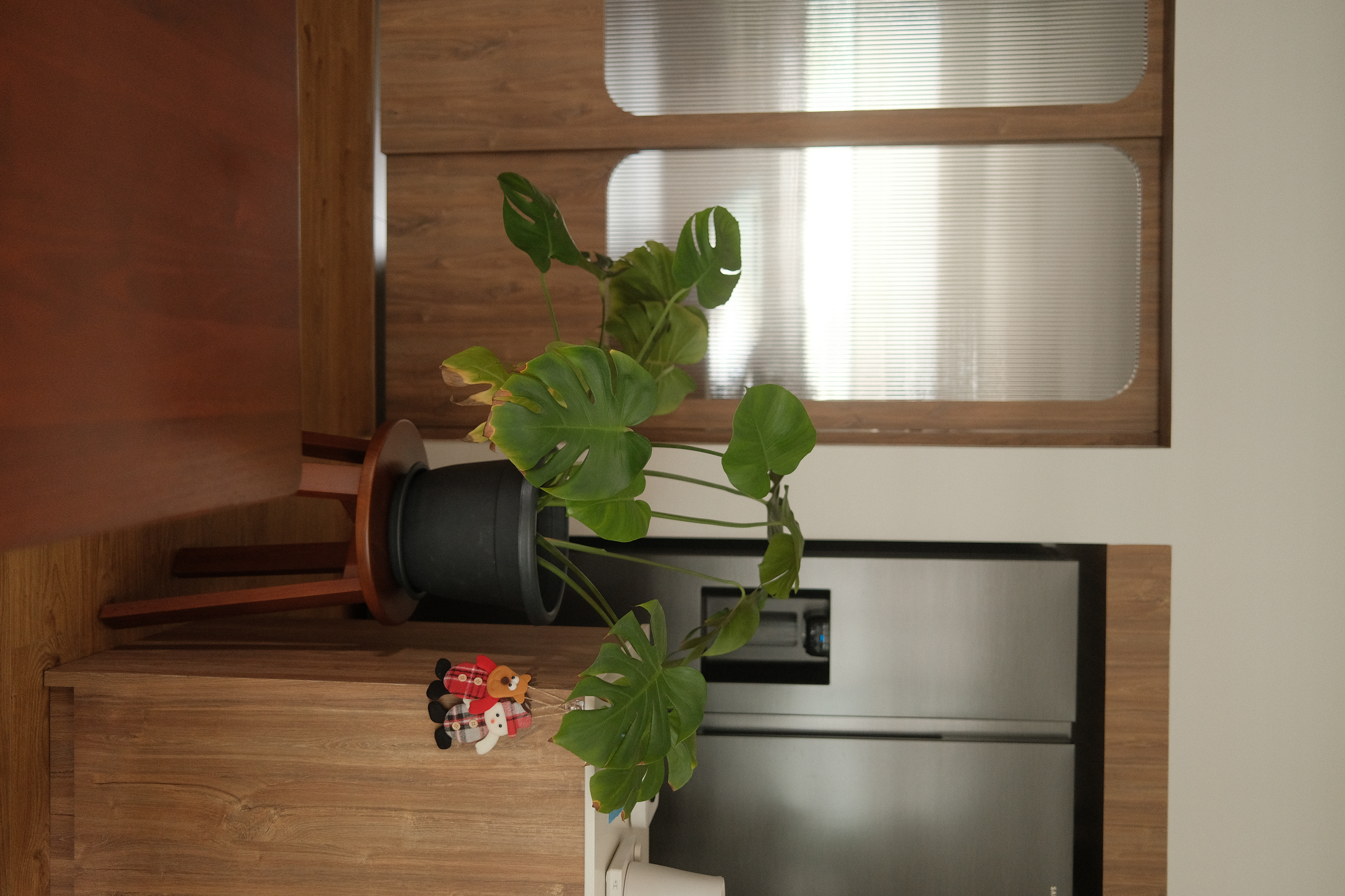 Our Plant Corner : A Journey Through Growth, Resilience, & Green Grace