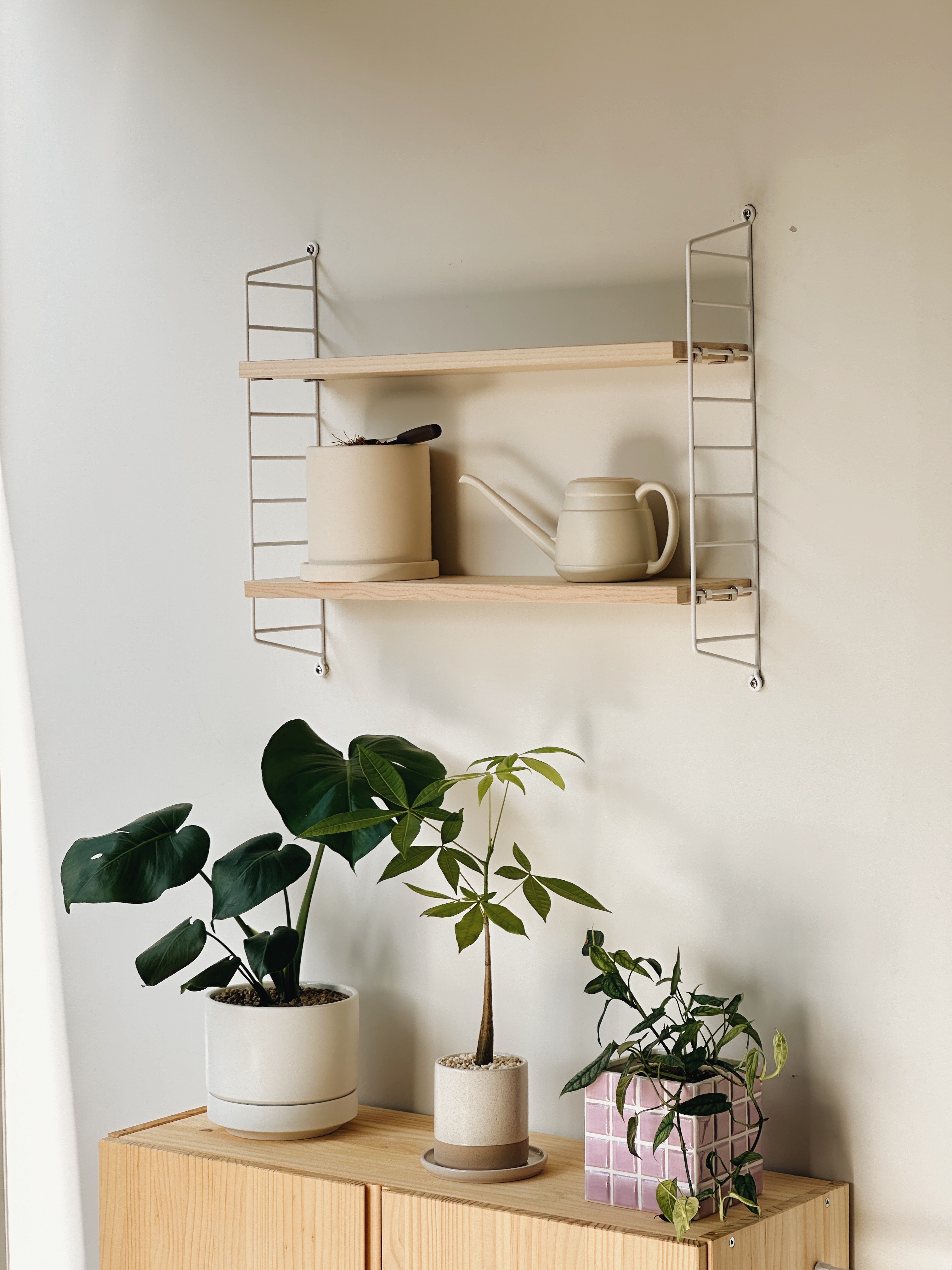 A Minimalist Home with a Touch of Green Serenity