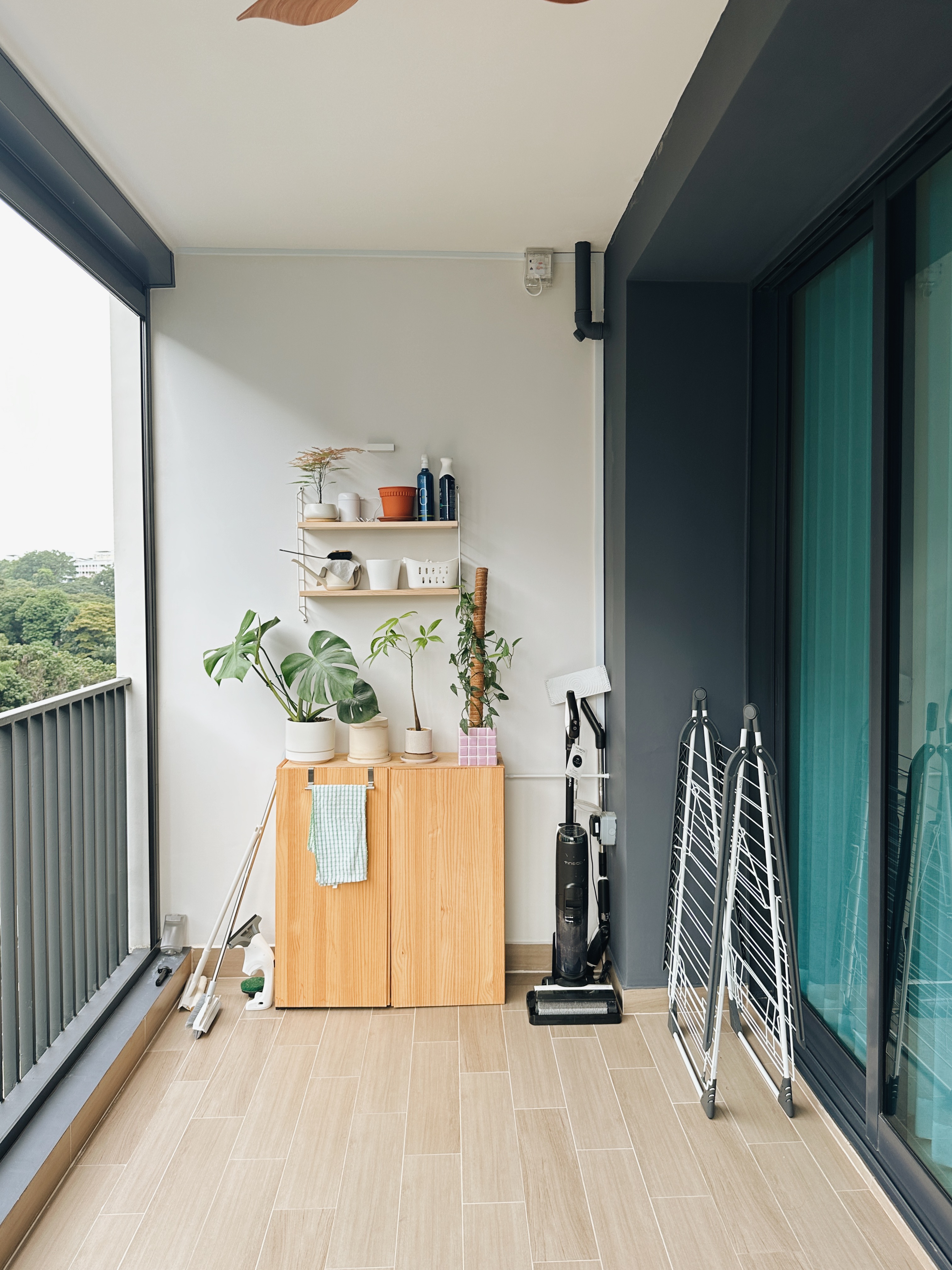 A-Minimalist-Home-with-a-Touch-of-Green-Serenity