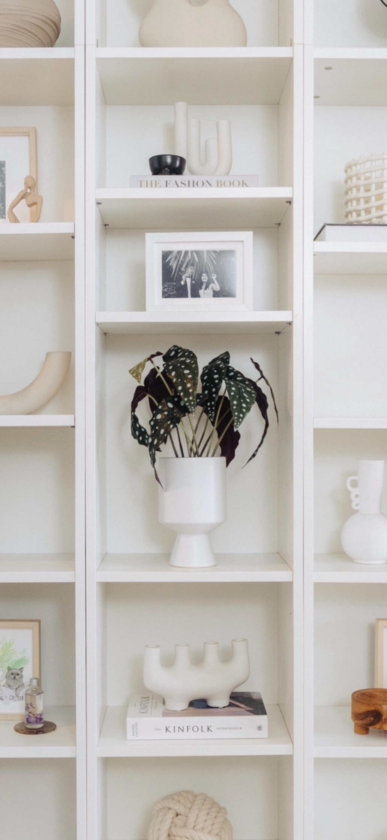 Our Green Collection: Mix Of Real & Faux Plants To Spruce Up Your Home