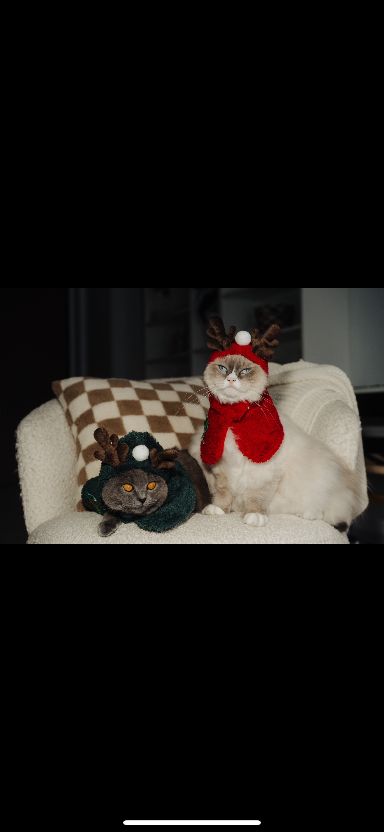 Our Green Collection: Mix Of Real & Faux Plants To Spruce Up Your Home