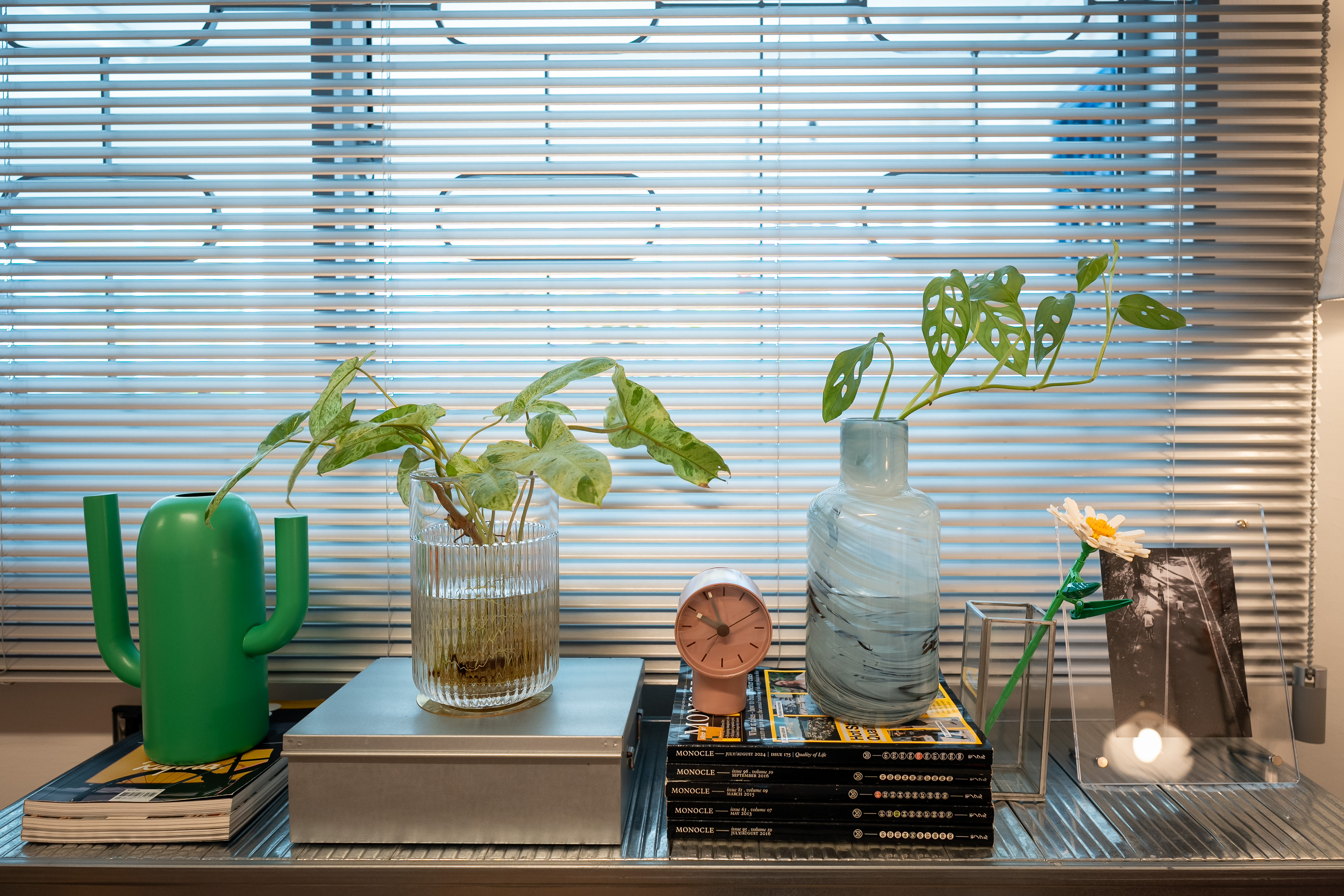 Plants: Blending the Real & Unreal