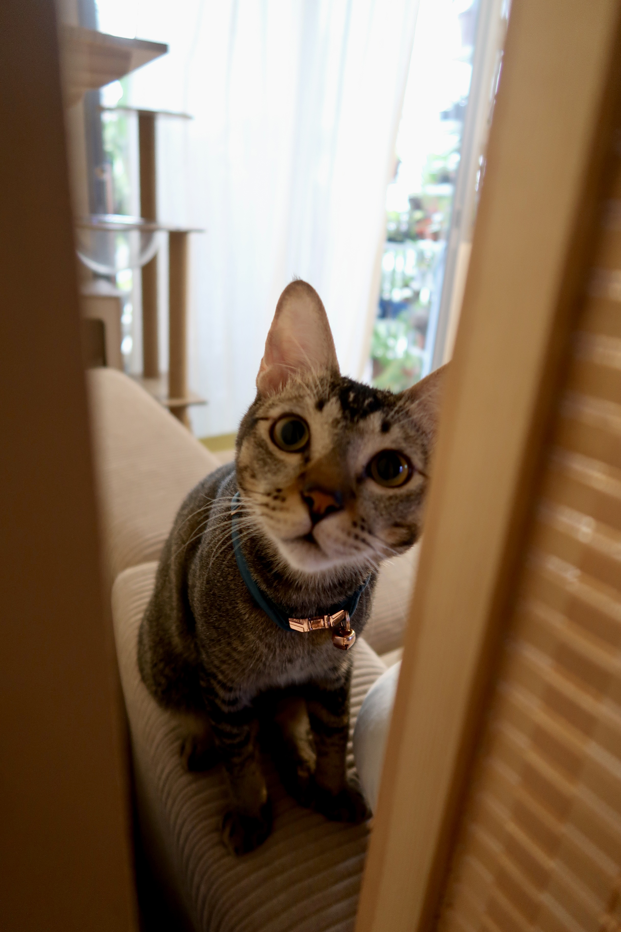 My 2K Modular Sofa With Hidden Storage & Washable Covers 💡