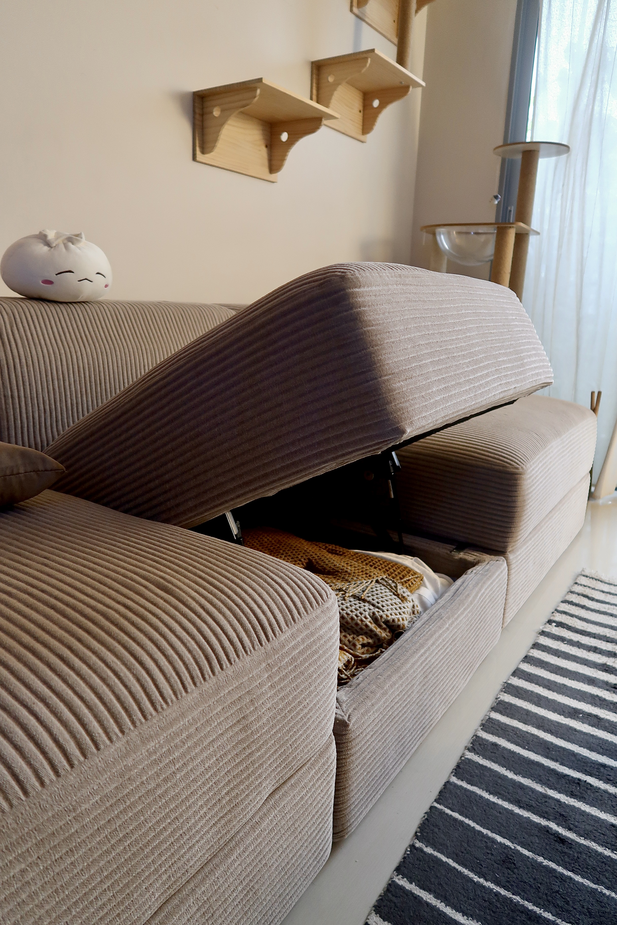 My 2K Modular Sofa With Hidden Storage & Washable Covers 💡