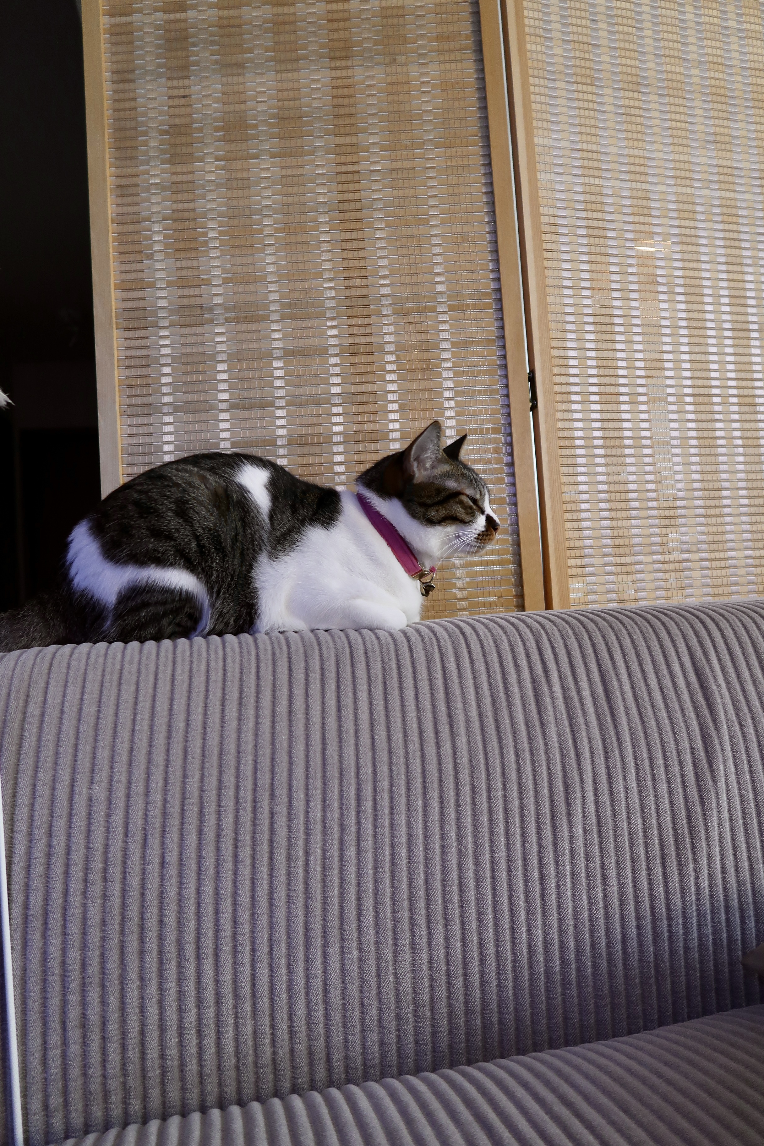 My 2K Modular Sofa With Hidden Storage & Washable Covers 💡