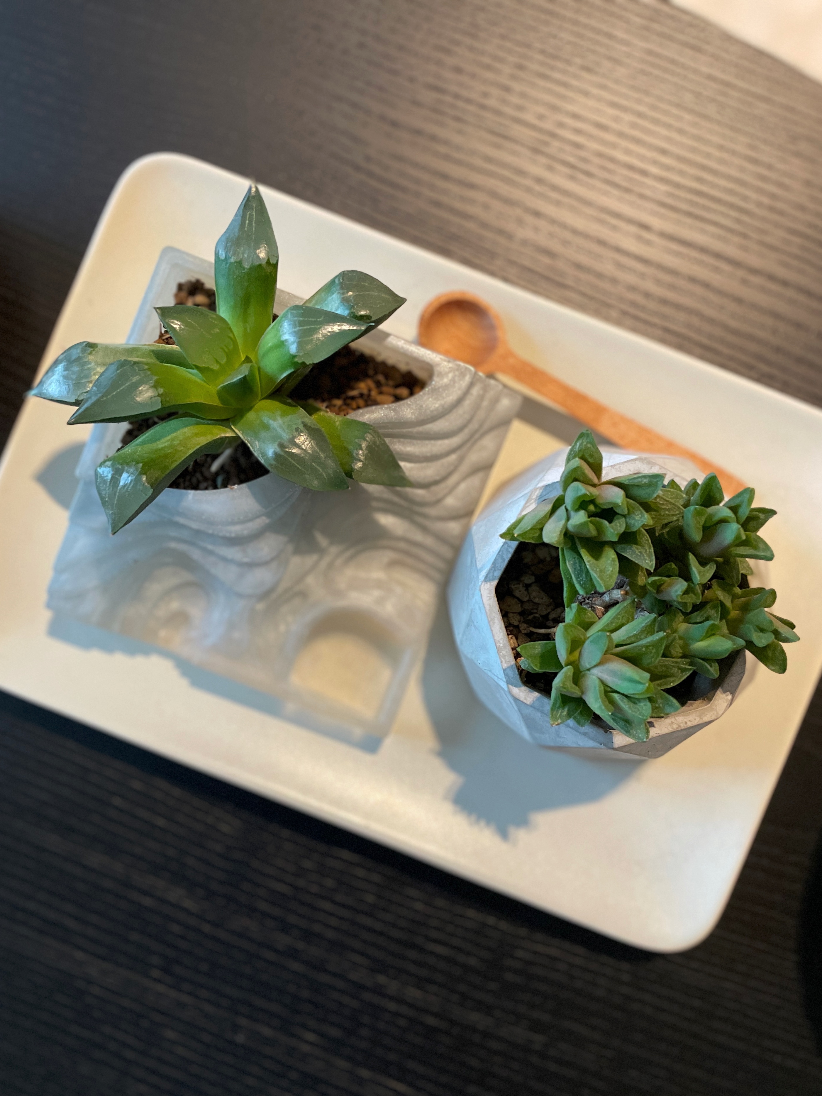 Welcome to Our Little Green Entrance