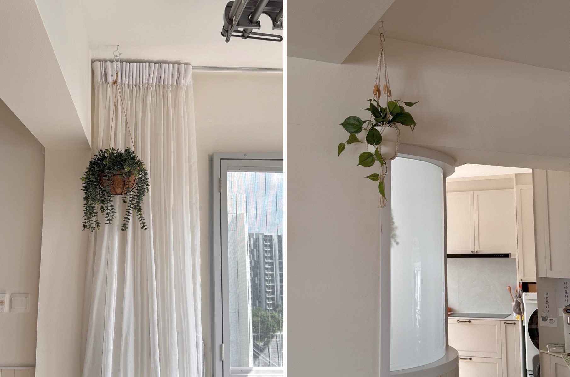 Want Plants but Worried About Pets & Black Thumbs? We've Got Tips!