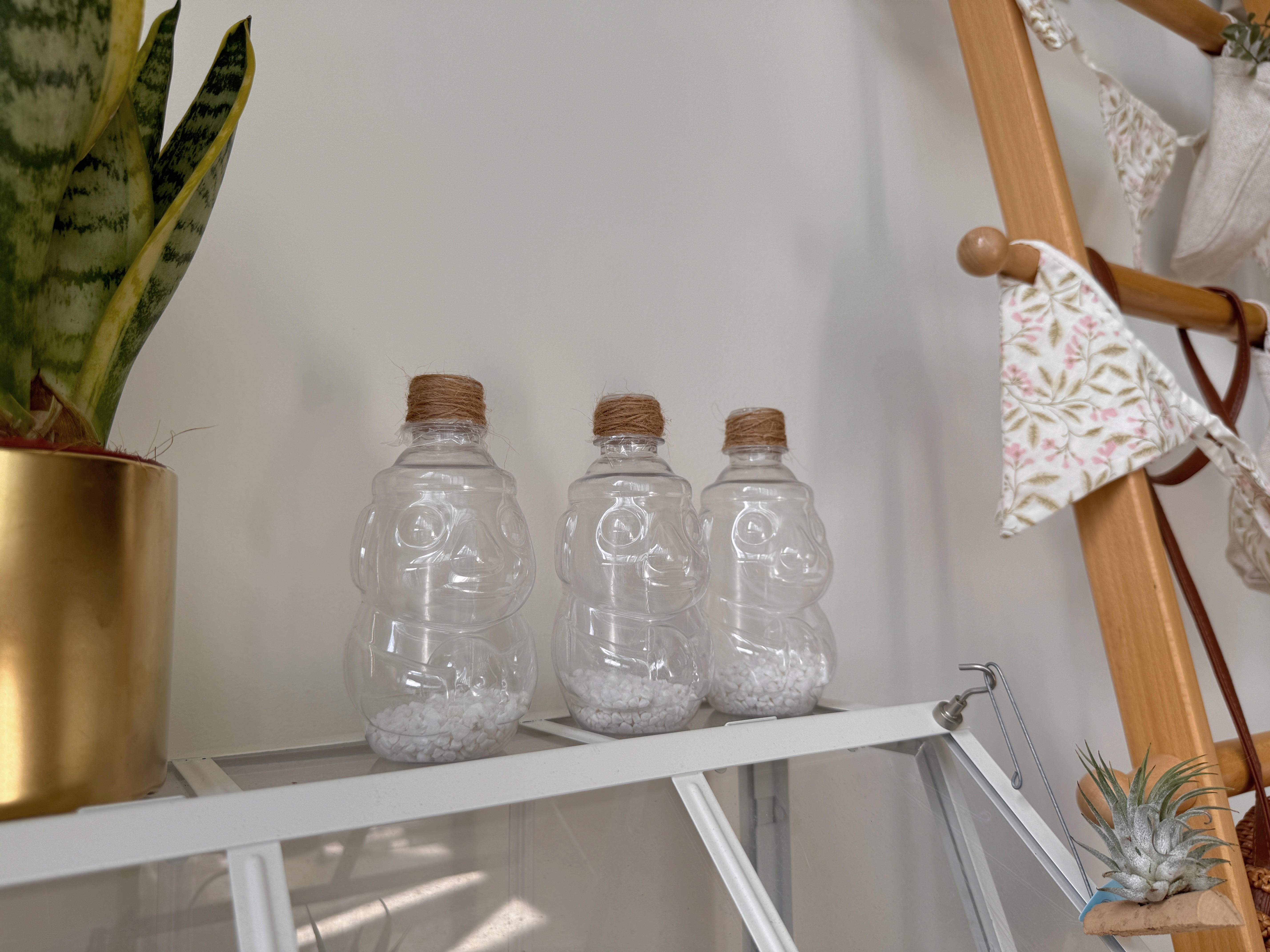 Want Plants but Worried About Pets & Black Thumbs? We've Got Tips!