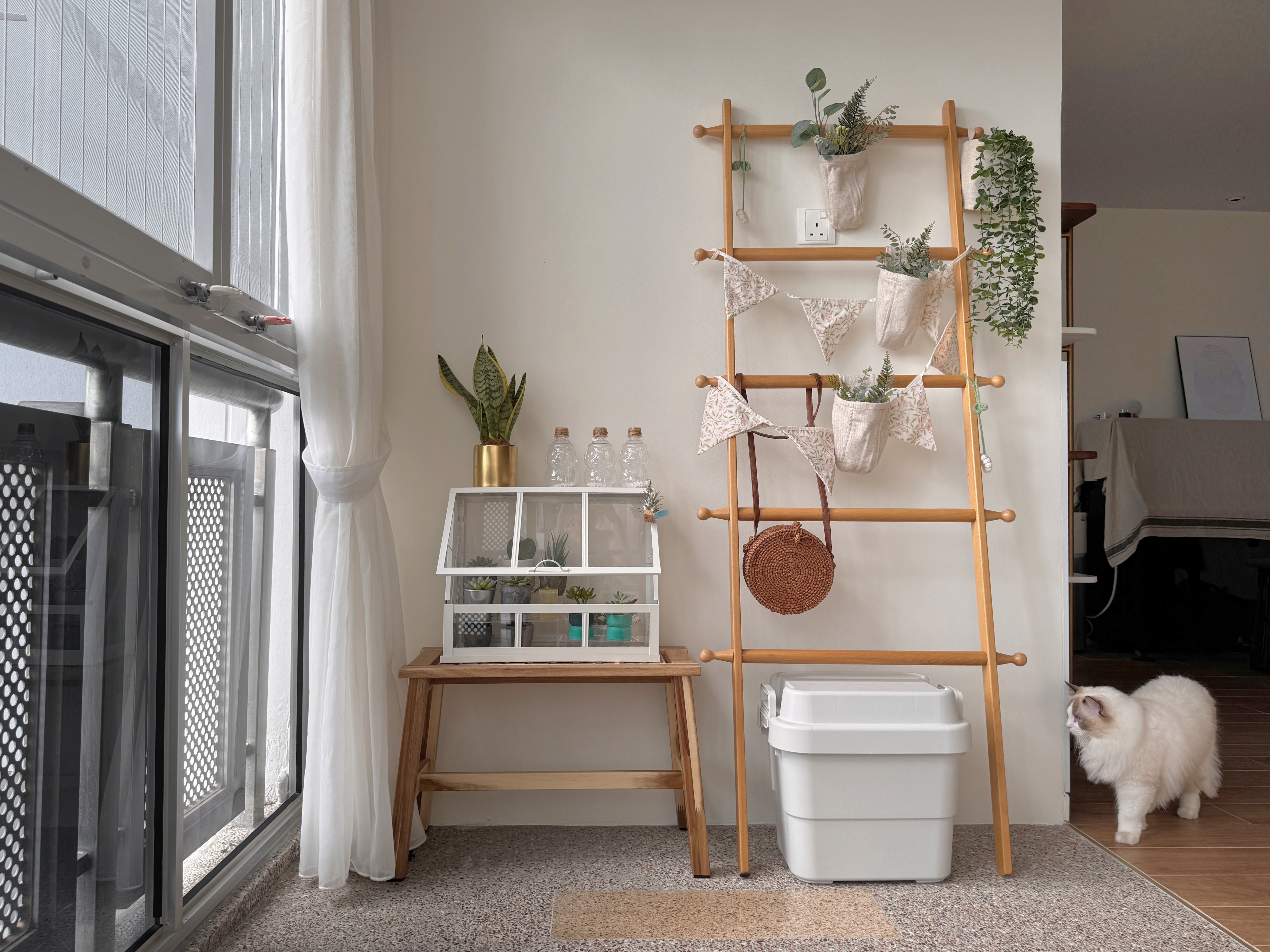 Want-Plants-but-Worried-About-Pets-&-Black-Thumbs?-We've-Got-Tips!