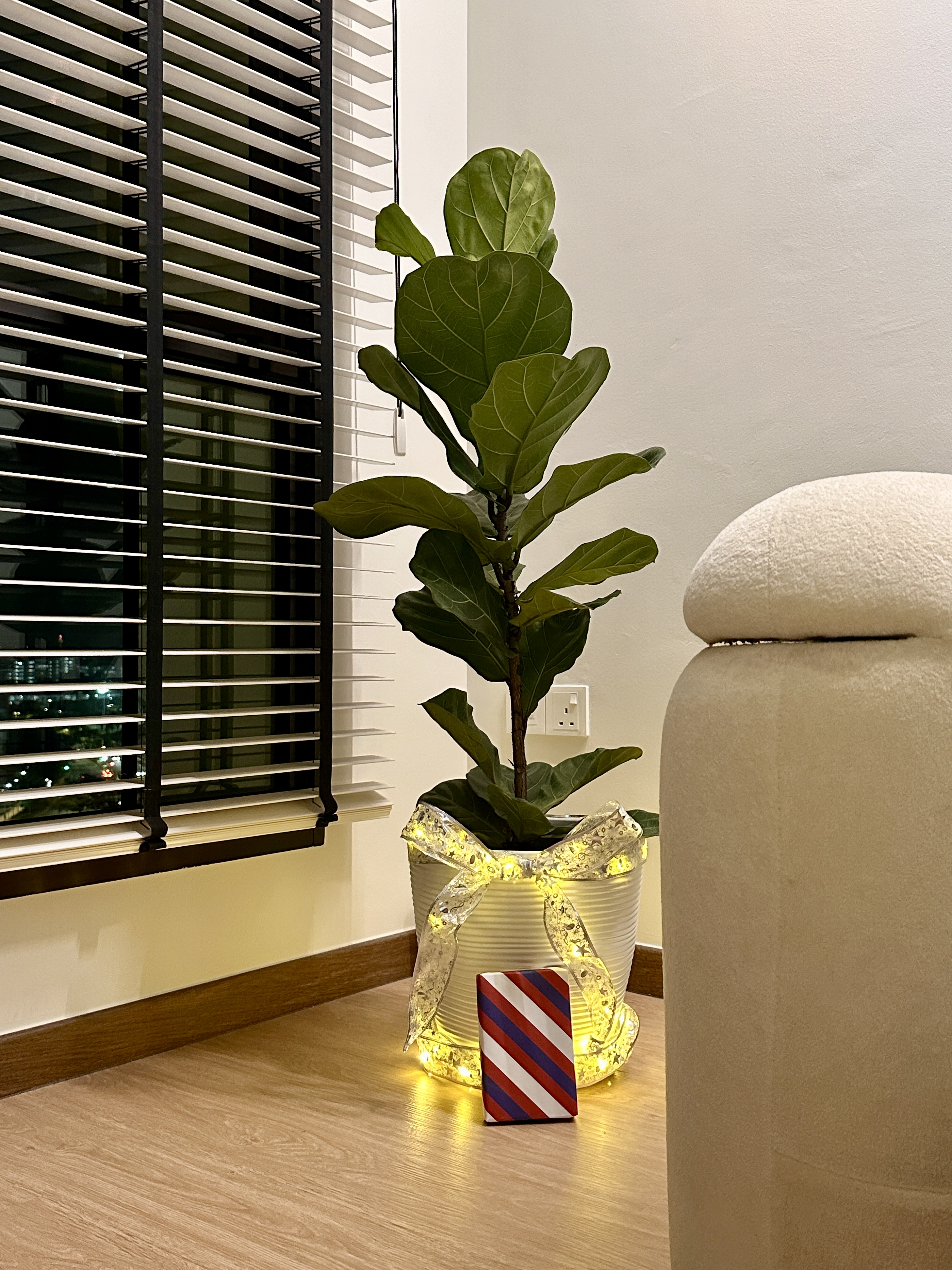 Green Corners in Our Minimal Home | Tampines