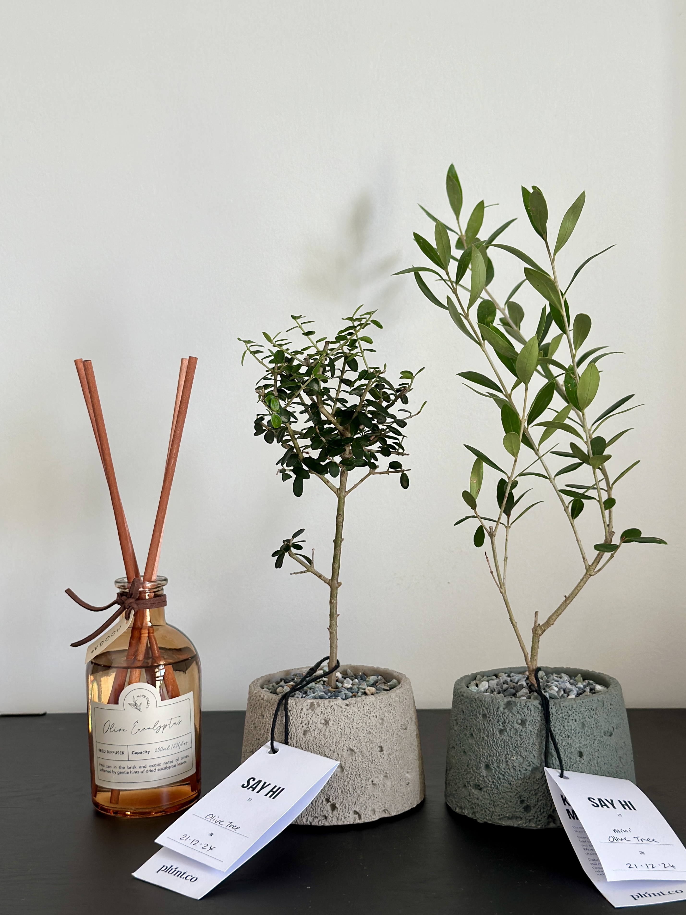 Green Corners in Our Minimal Home | Tampines