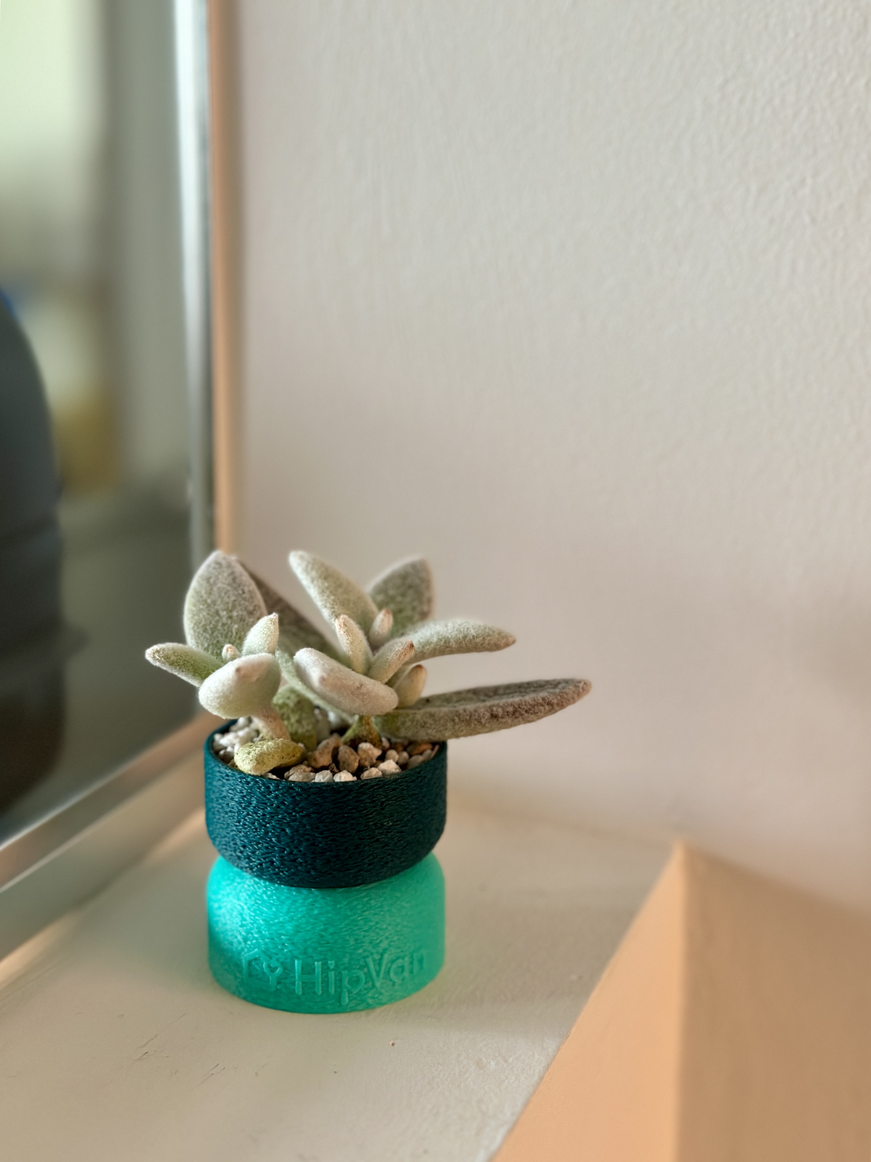 Green Corners in Our Minimal Home | Tampines