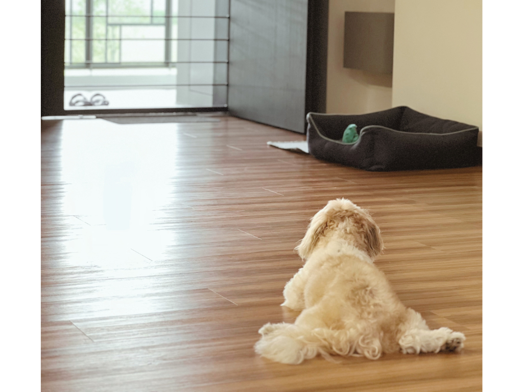 Pet Zone | Playful and Comfortable | 5rm BTO in Tampines