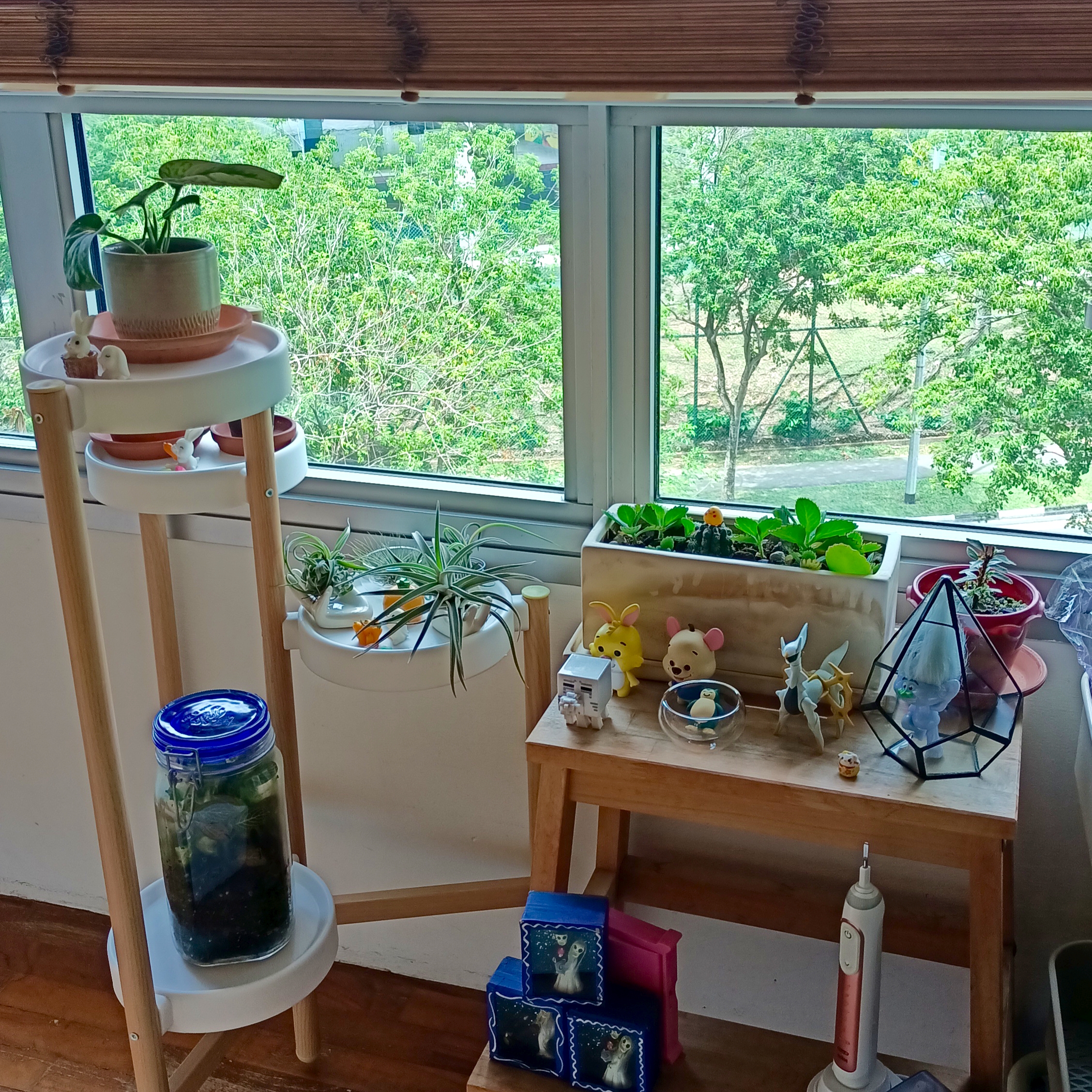 Green-Corner-within-MBR-(-Easy-Plants-Recommendation-Included)