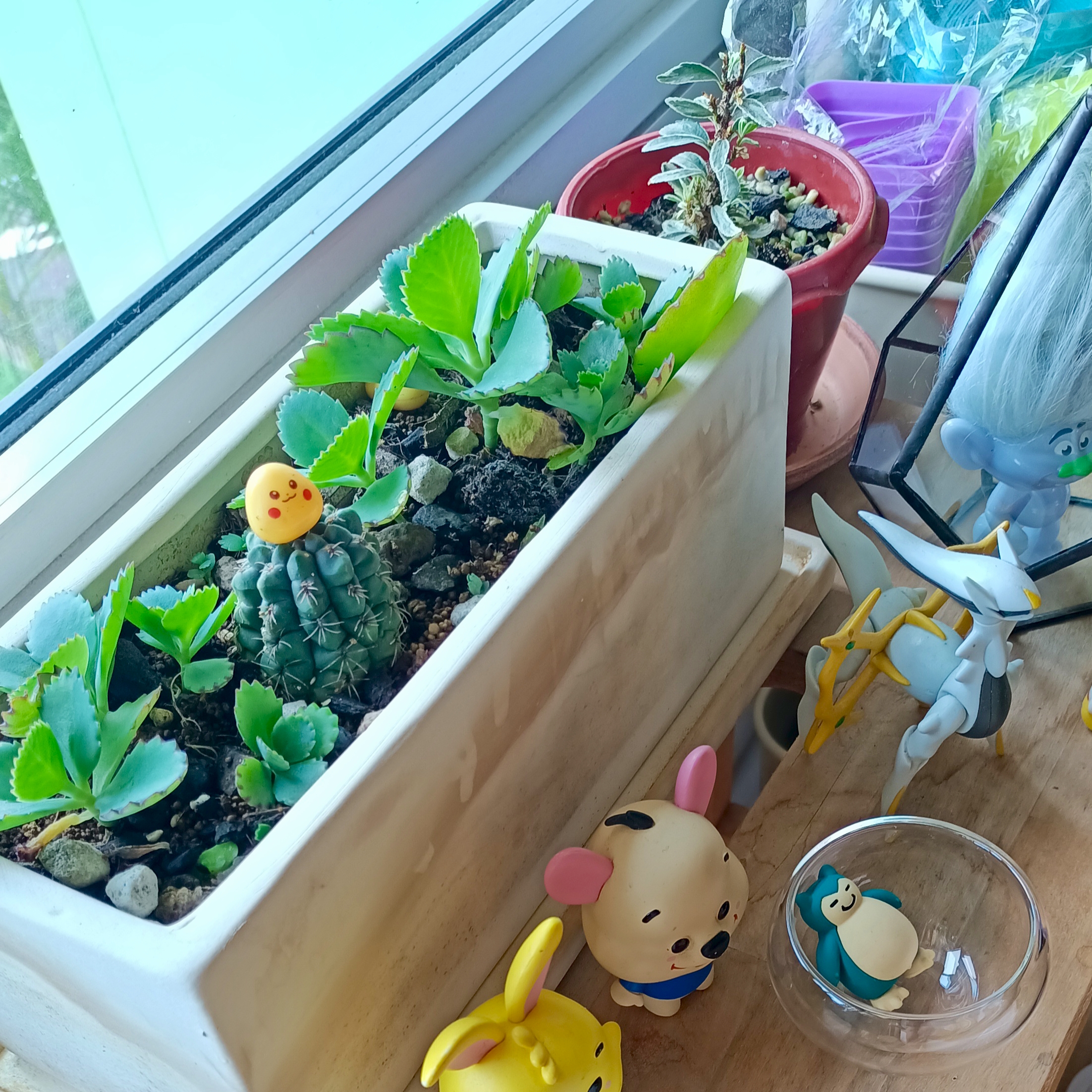 Green Corner within MBR ( Easy Plants Recommendation Included)