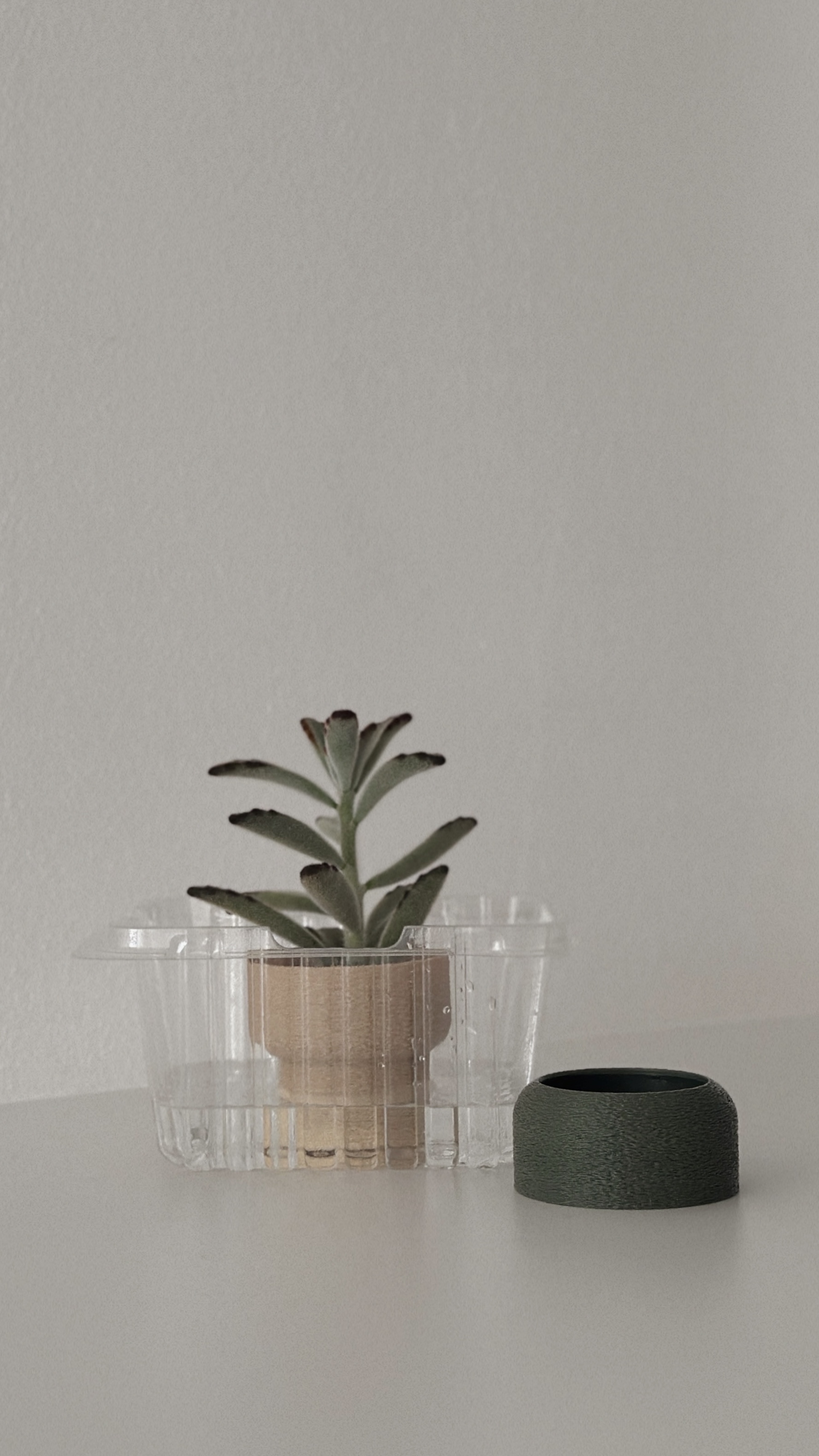 Minimal-&-Mindful-Living:-Repurpose/Upcycle-to-Store/Organise/Decorate