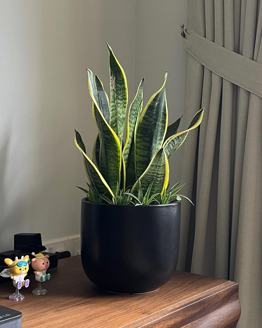 House Tour: 13k Reno ?!