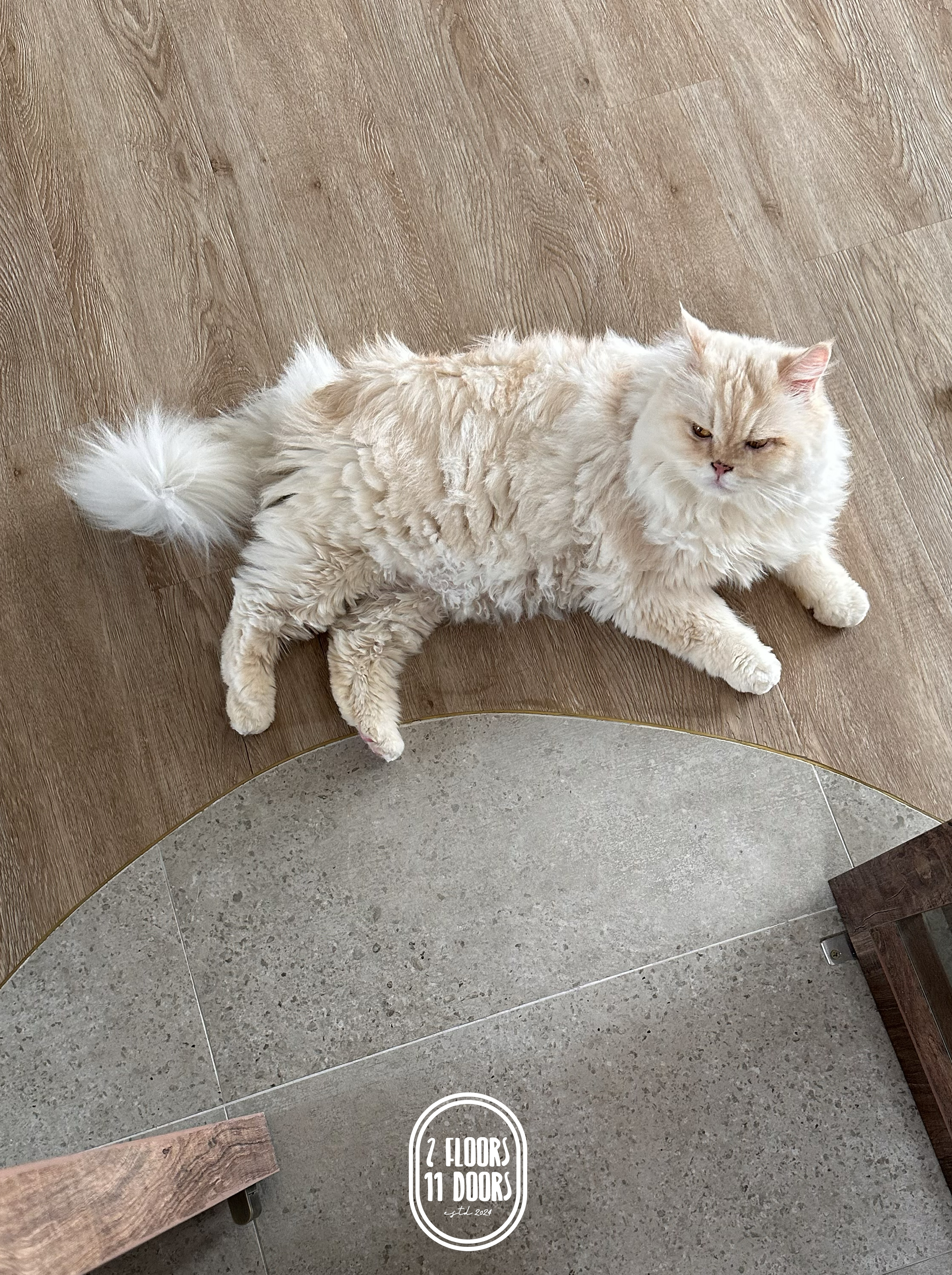 House Tour: 2 Floors of Modern Organic Bliss on a $150K Budget!