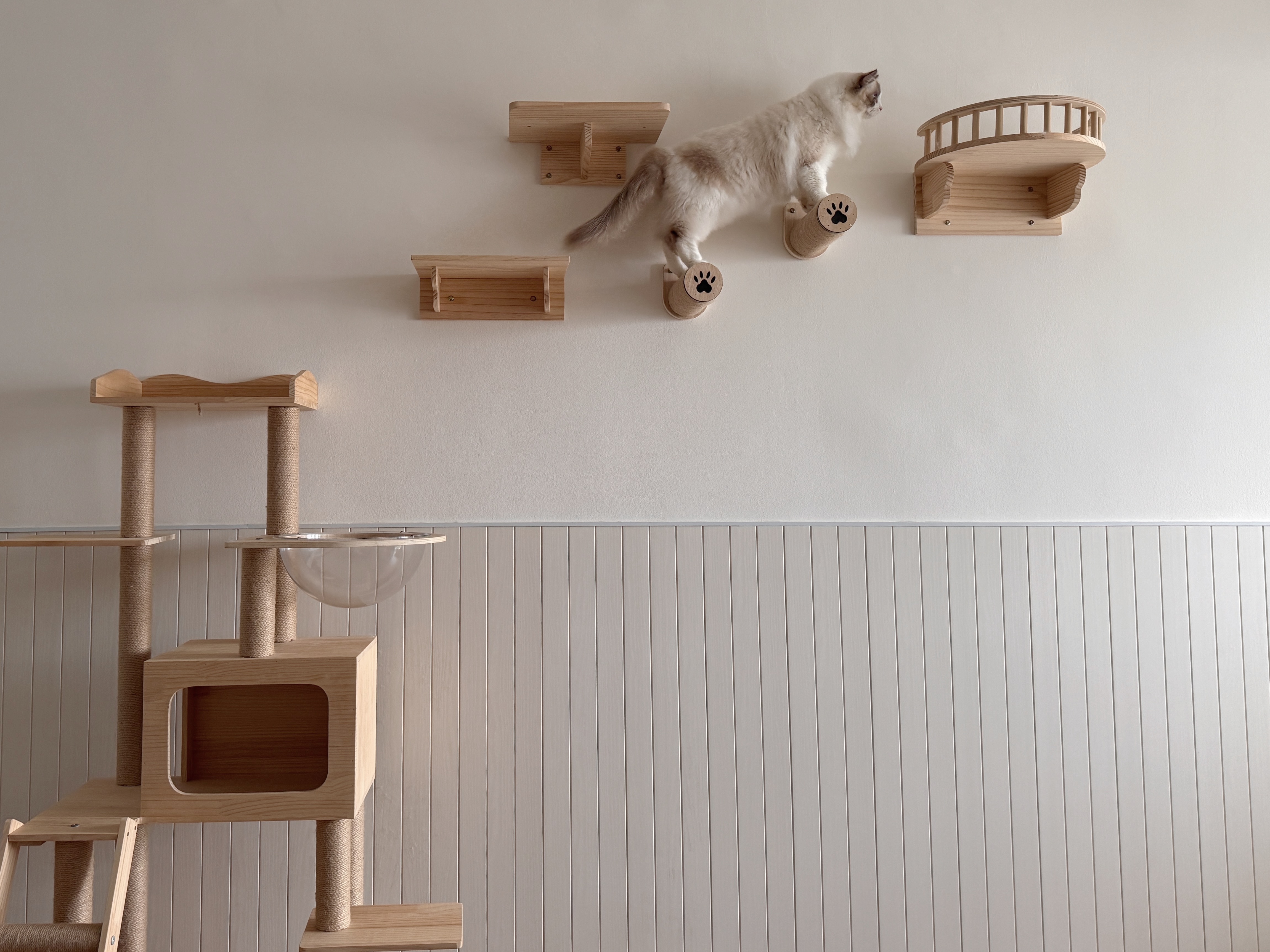 Pet-Proofing-with-Style:-Tips-for-an-Aesthetic,-Cat-Friendly-Home