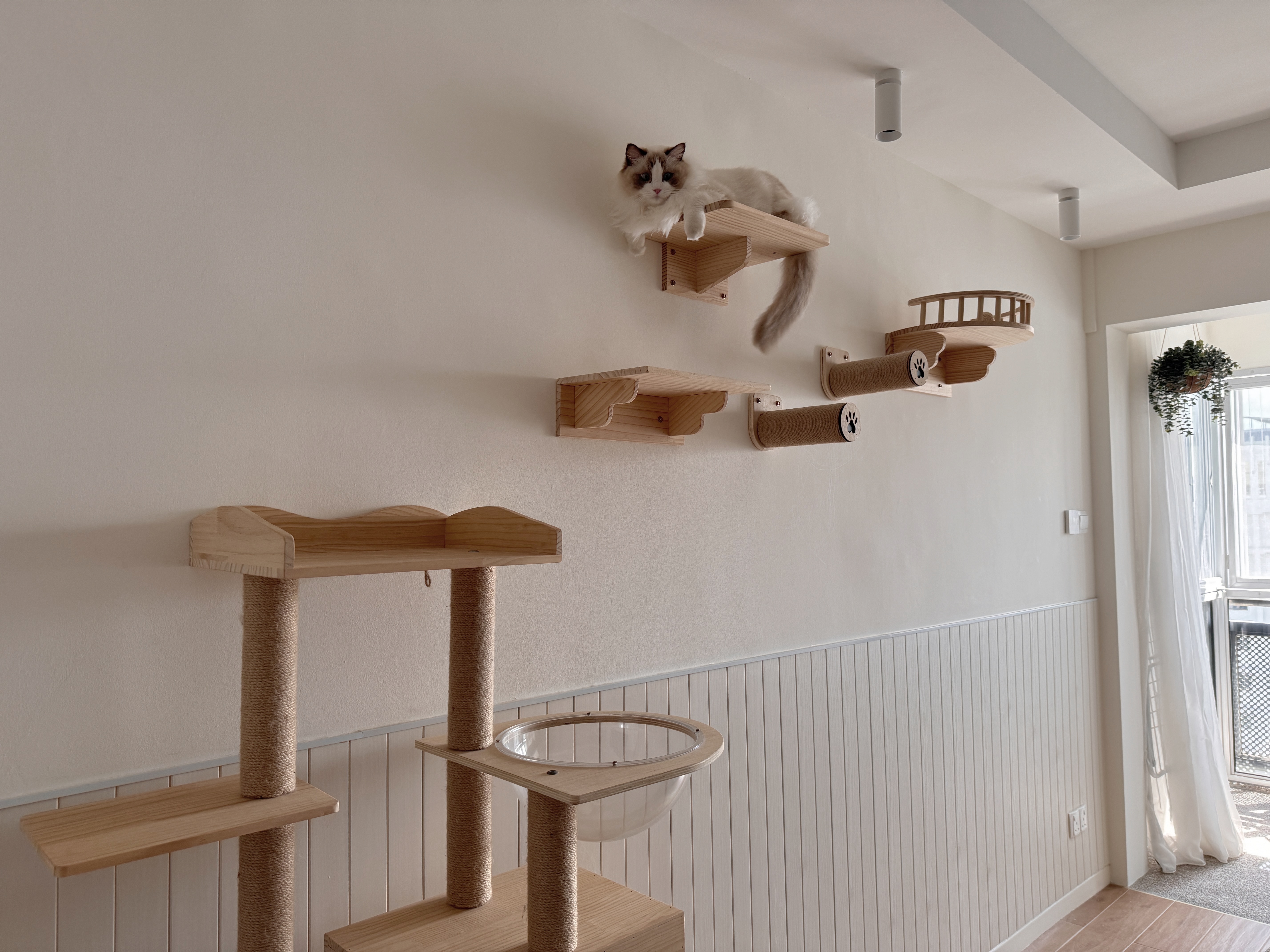 Pet-Proofing with Style: Tips for an Aesthetic, Cat-Friendly Home