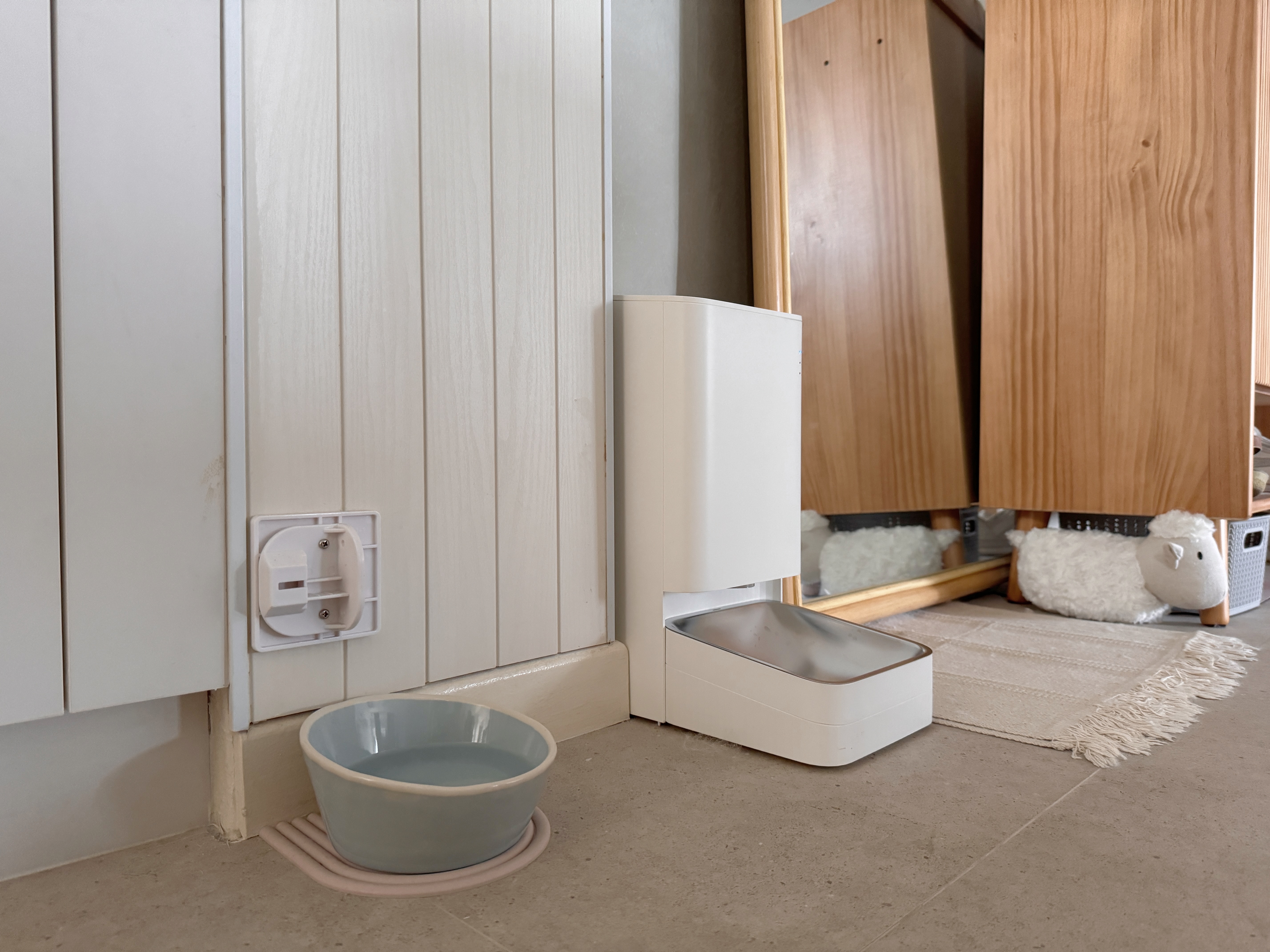 Pet-Proofing with Style: Tips for an Aesthetic, Cat-Friendly Home