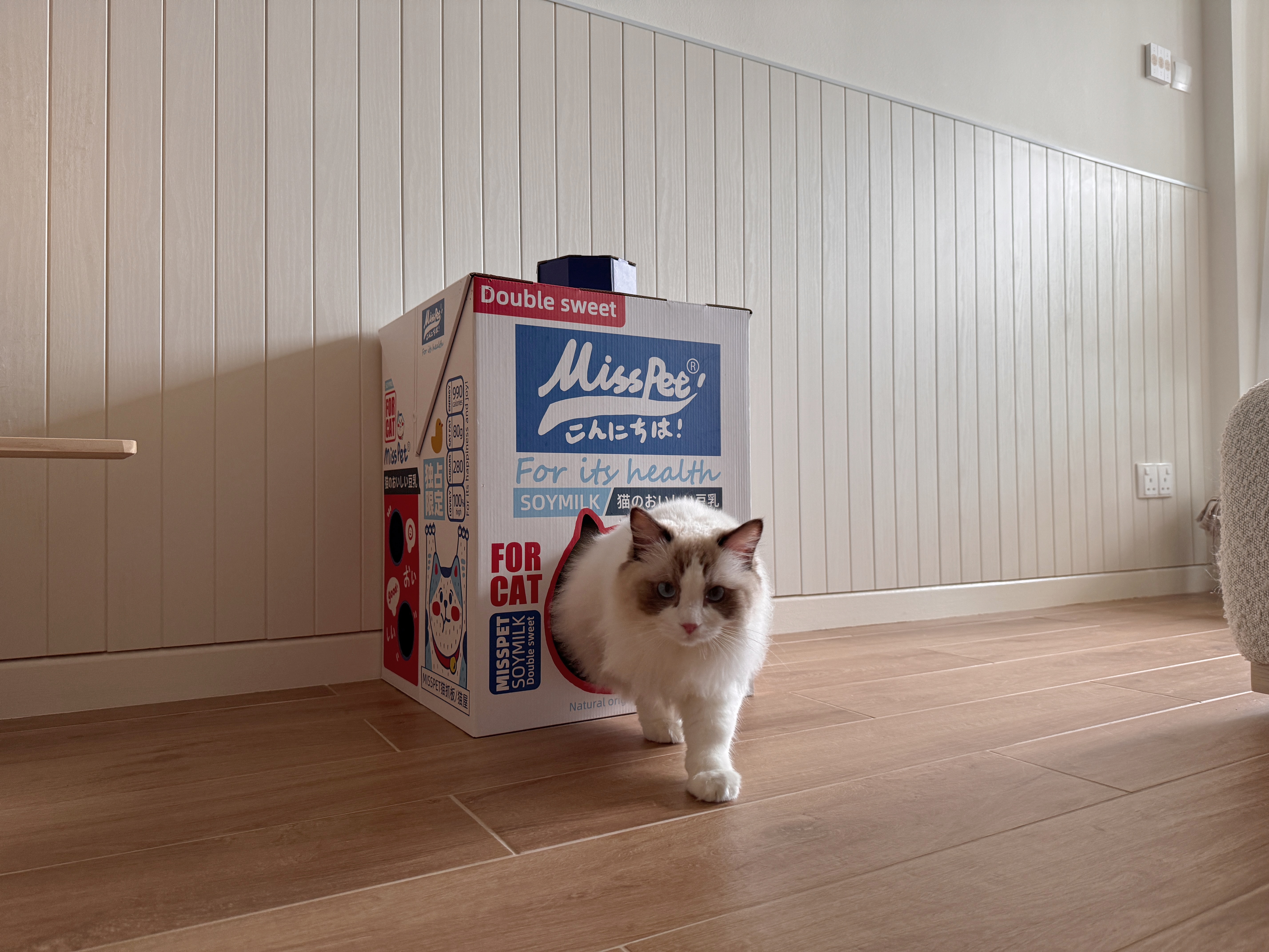 Pet-Proofing-with-Style:-Tips-for-an-Aesthetic,-Cat-Friendly-Home