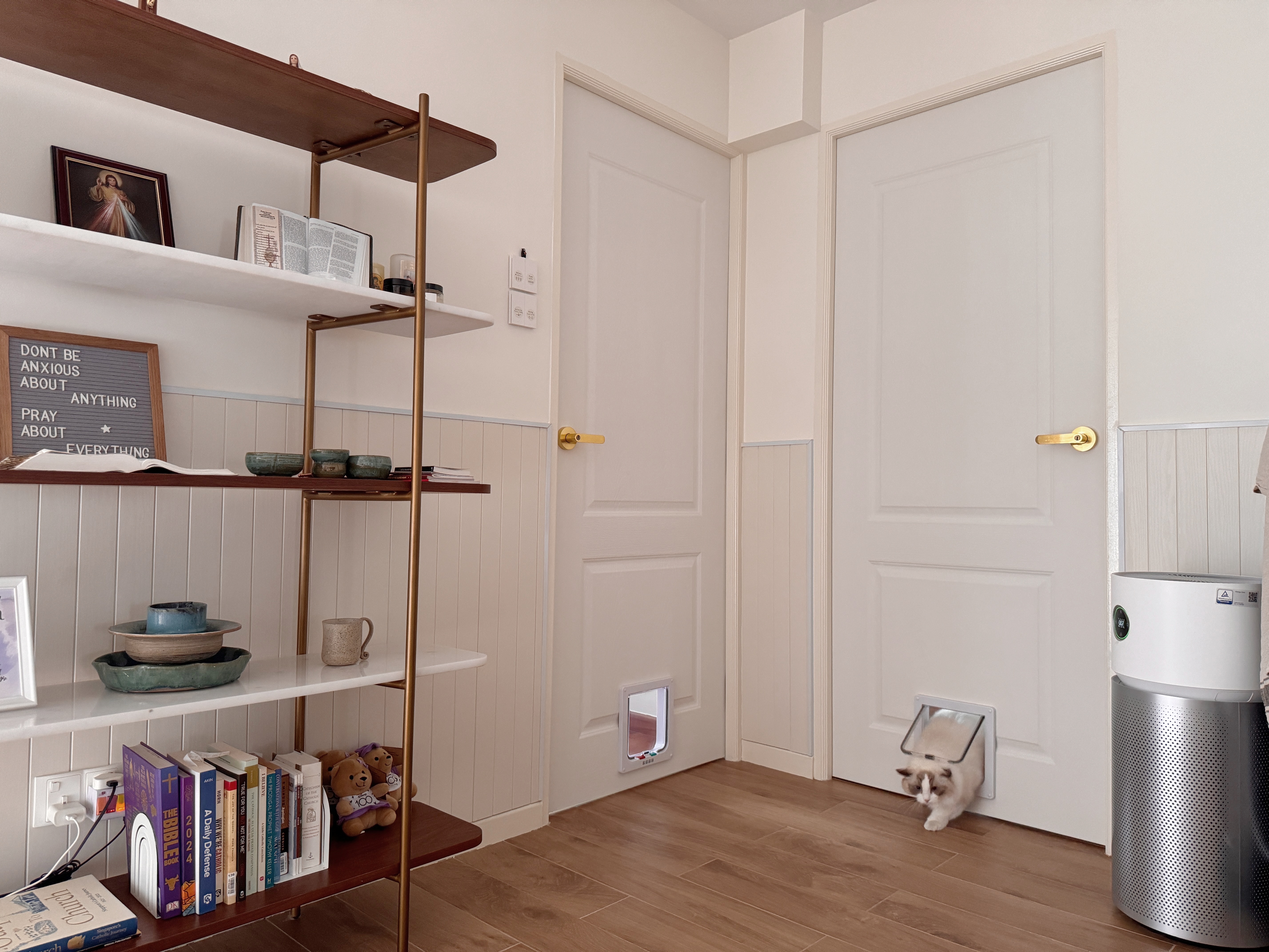 Pet-Proofing-with-Style:-Tips-for-an-Aesthetic,-Cat-Friendly-Home